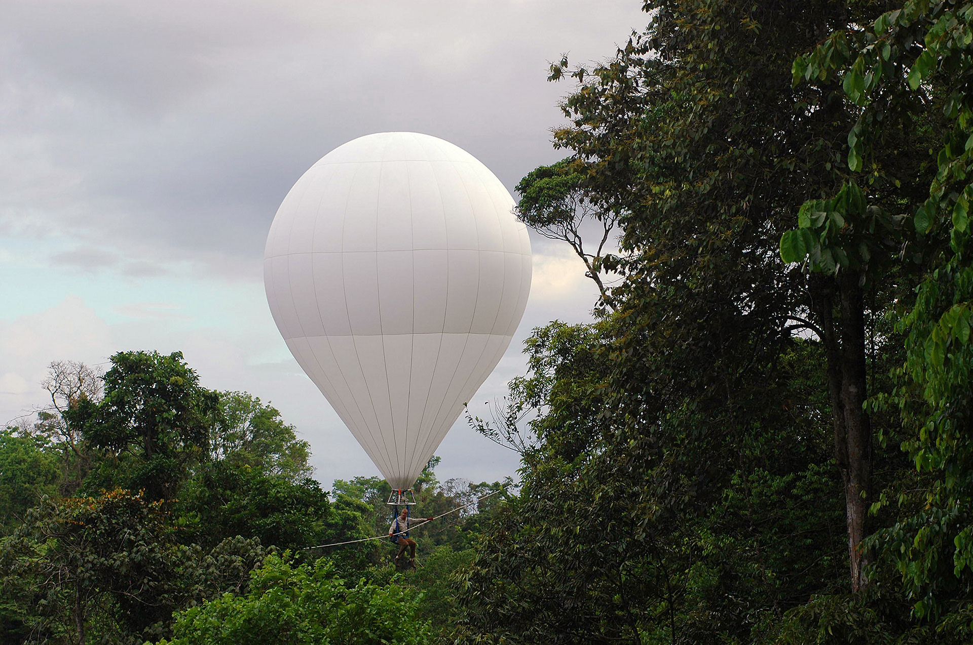 ©Dany Cleyet-Marrel