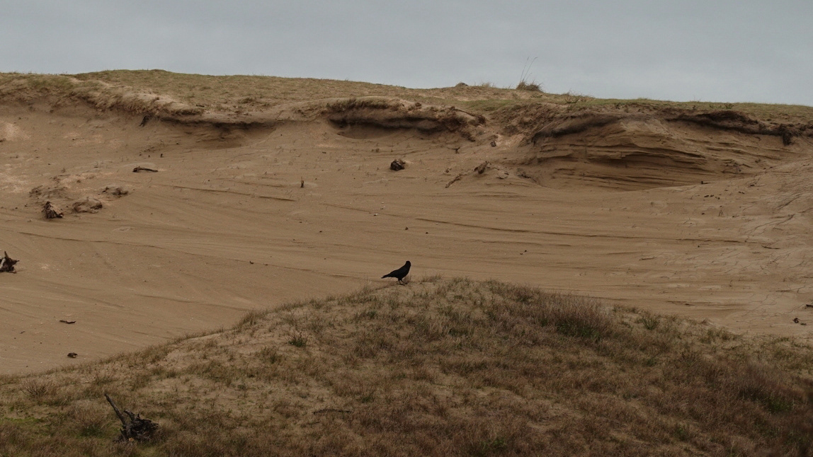 Nationaal Park Zuid-Kennemerland