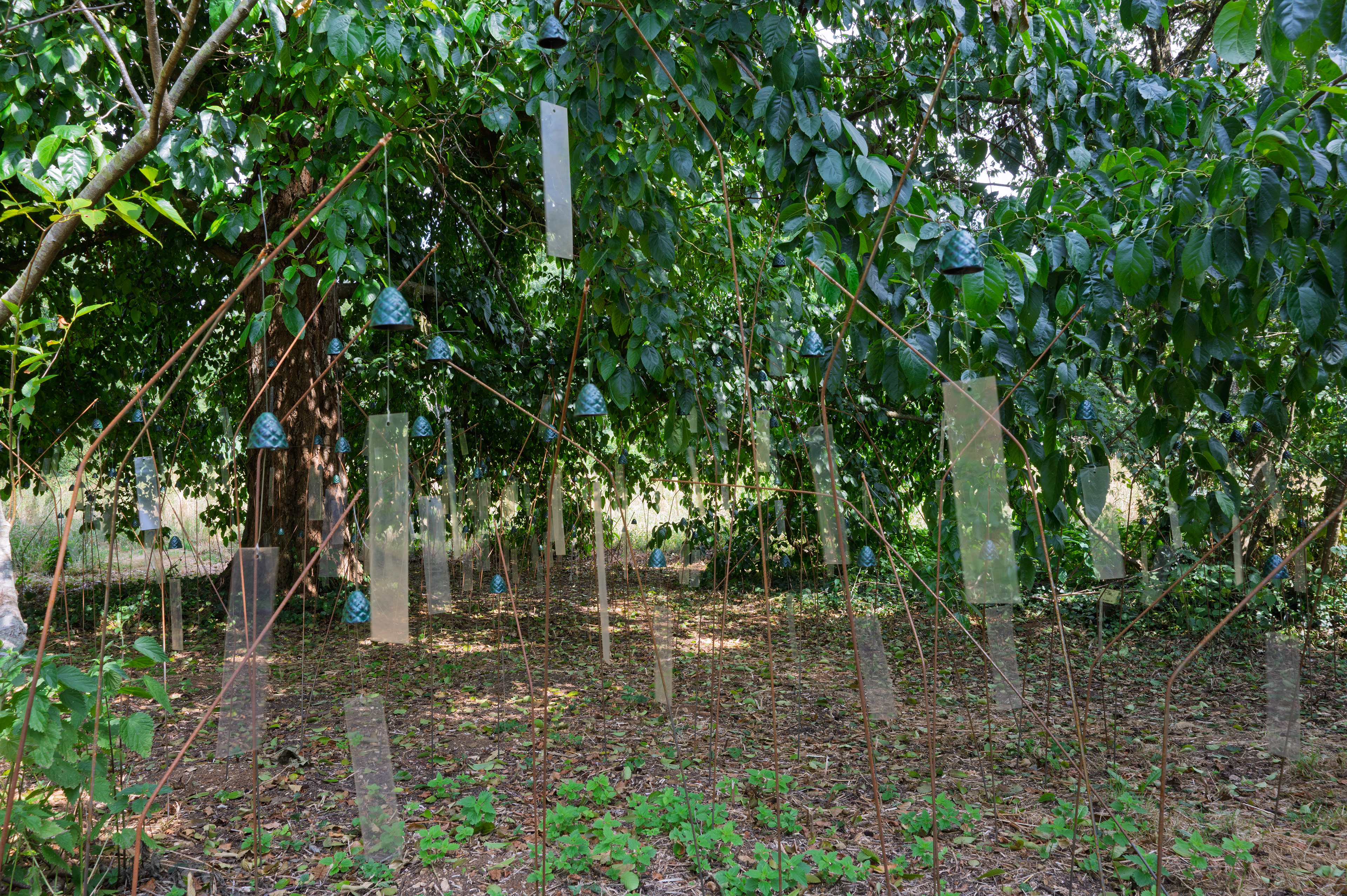 Parc de la Maladrerie