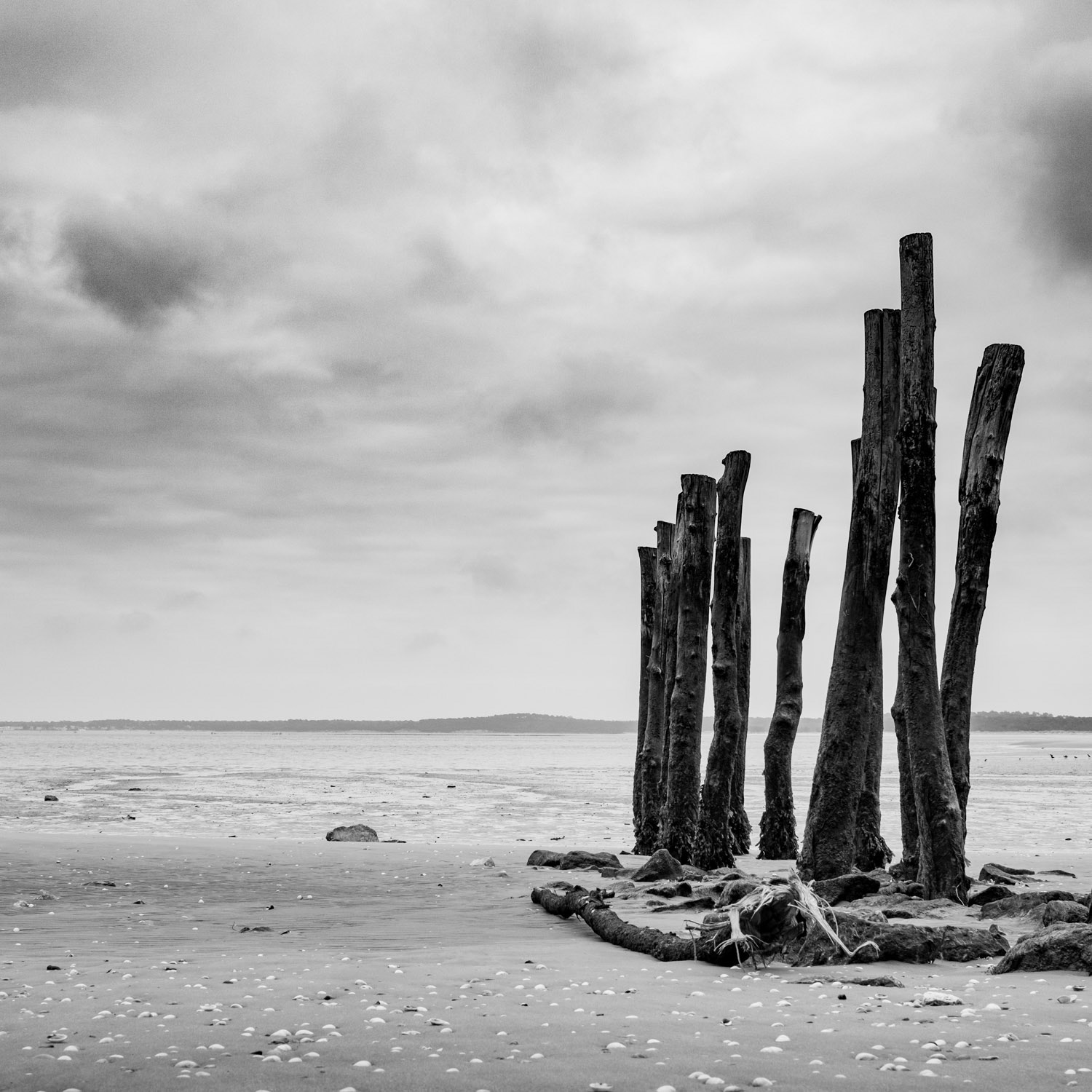 Série Littoral - Bord de mer