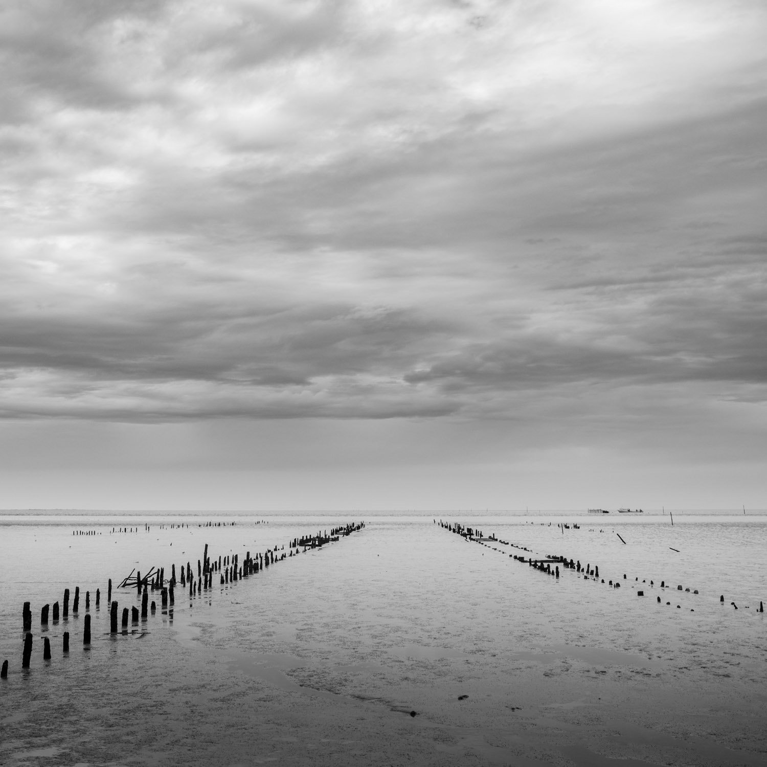 Série Littoral - Bord de mer