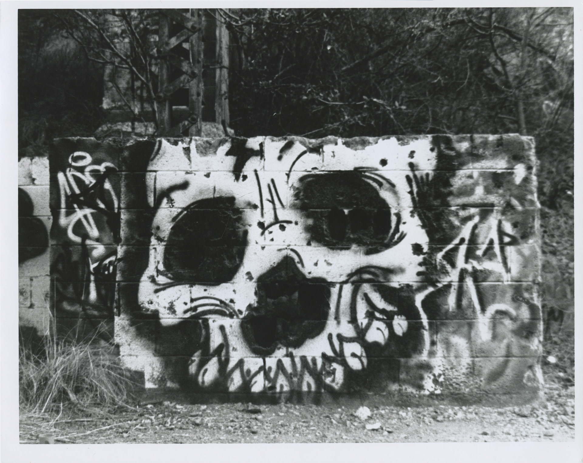 Senator Mine, Darkroom, 2018