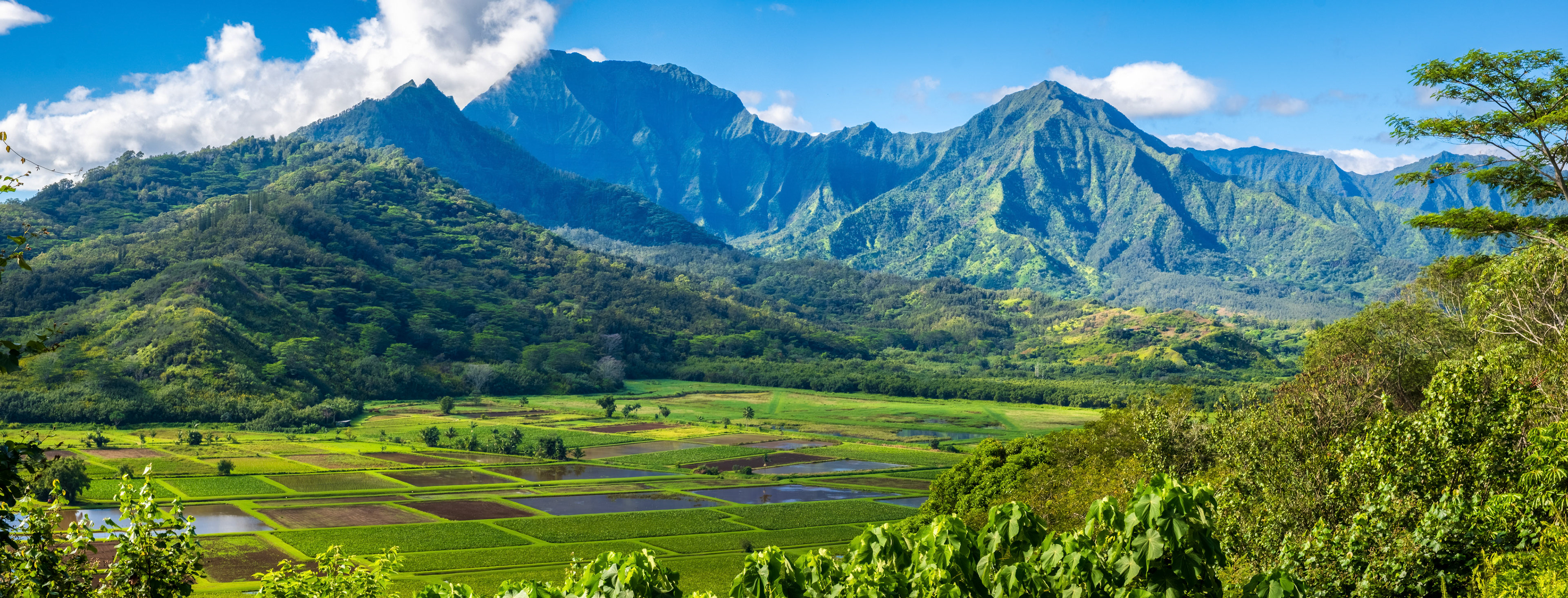 Near Hanalei Bay in Kauai