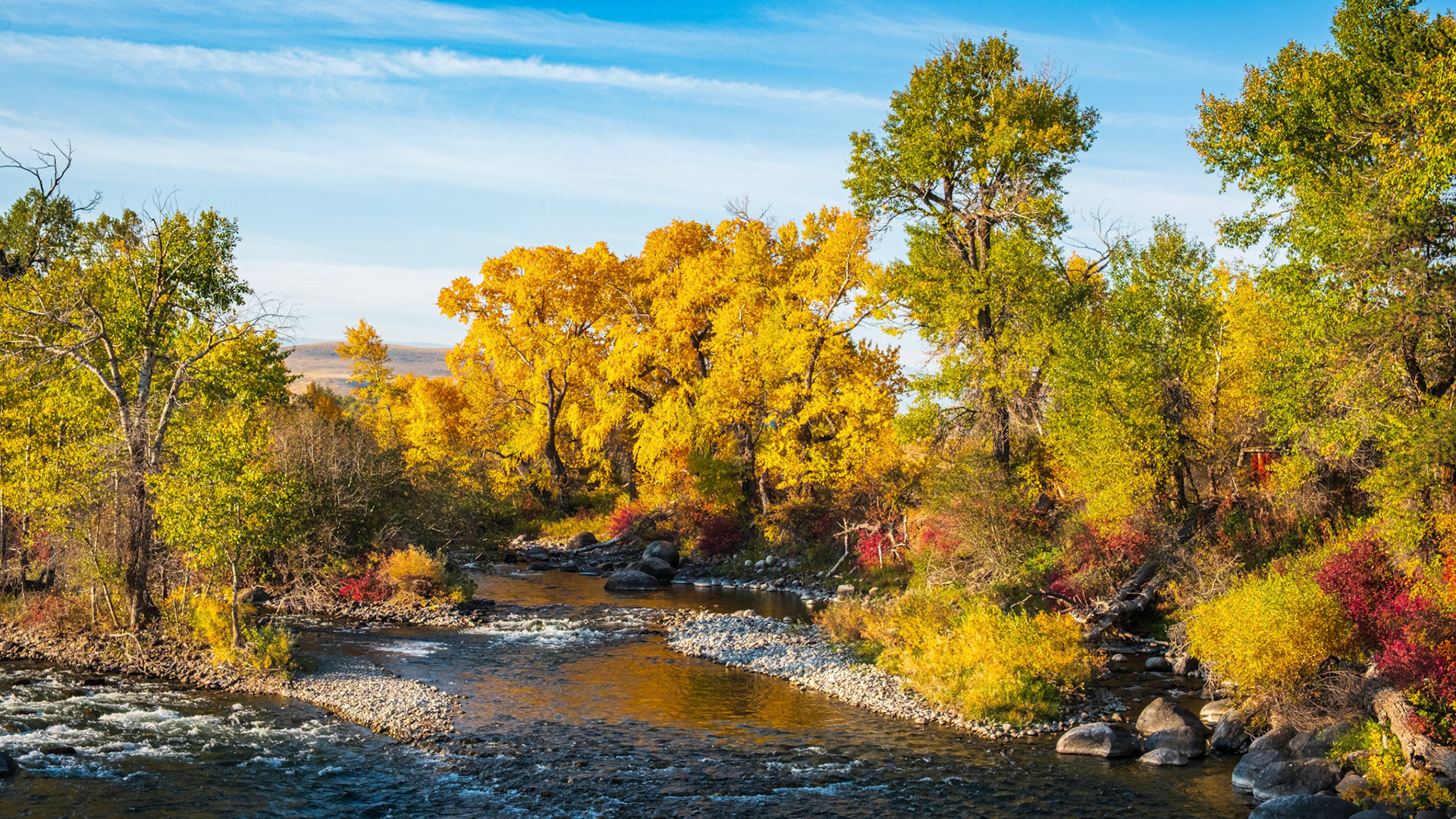 Fall colors along the Boulder River