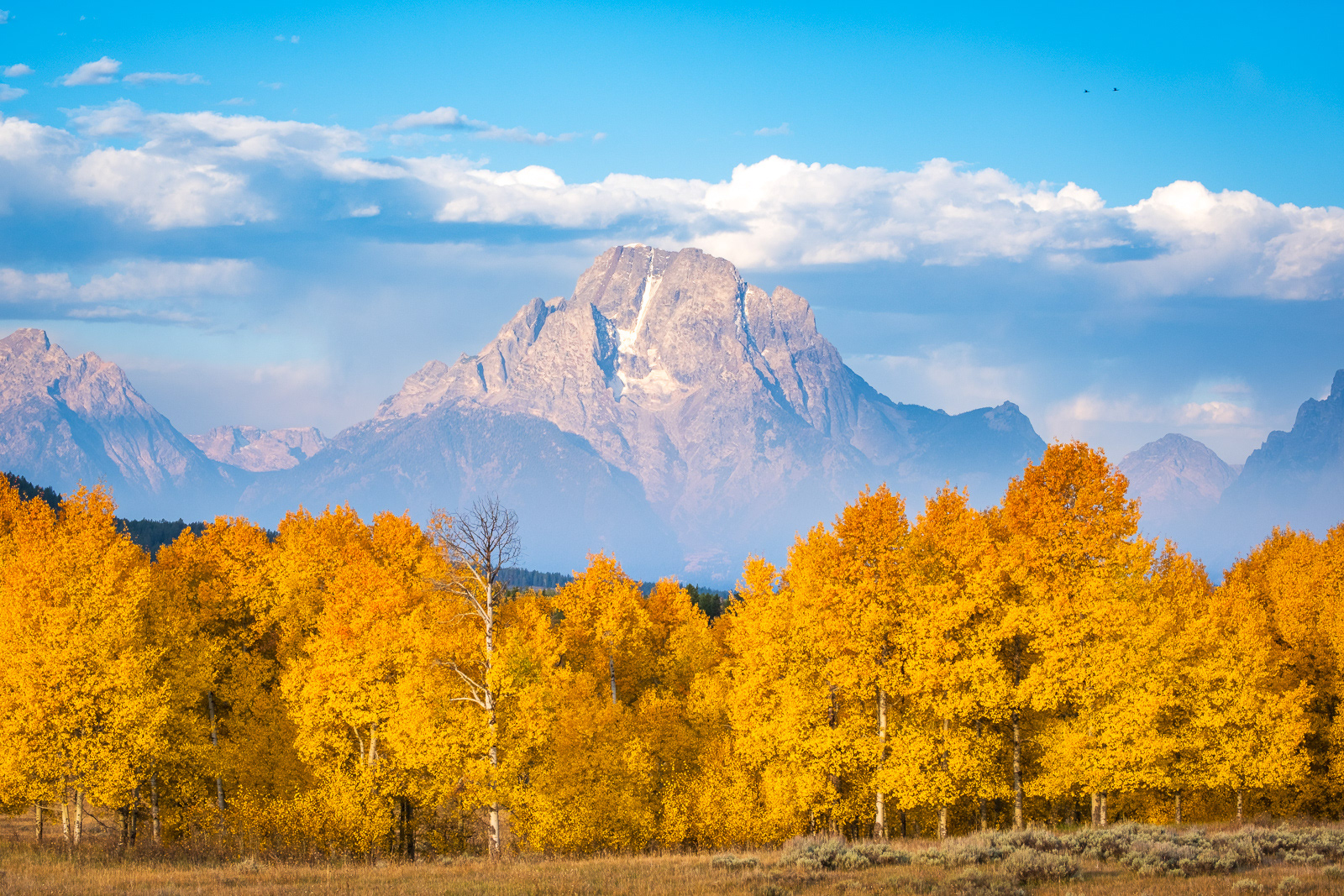 Mount Moran in Grand Teton National Park