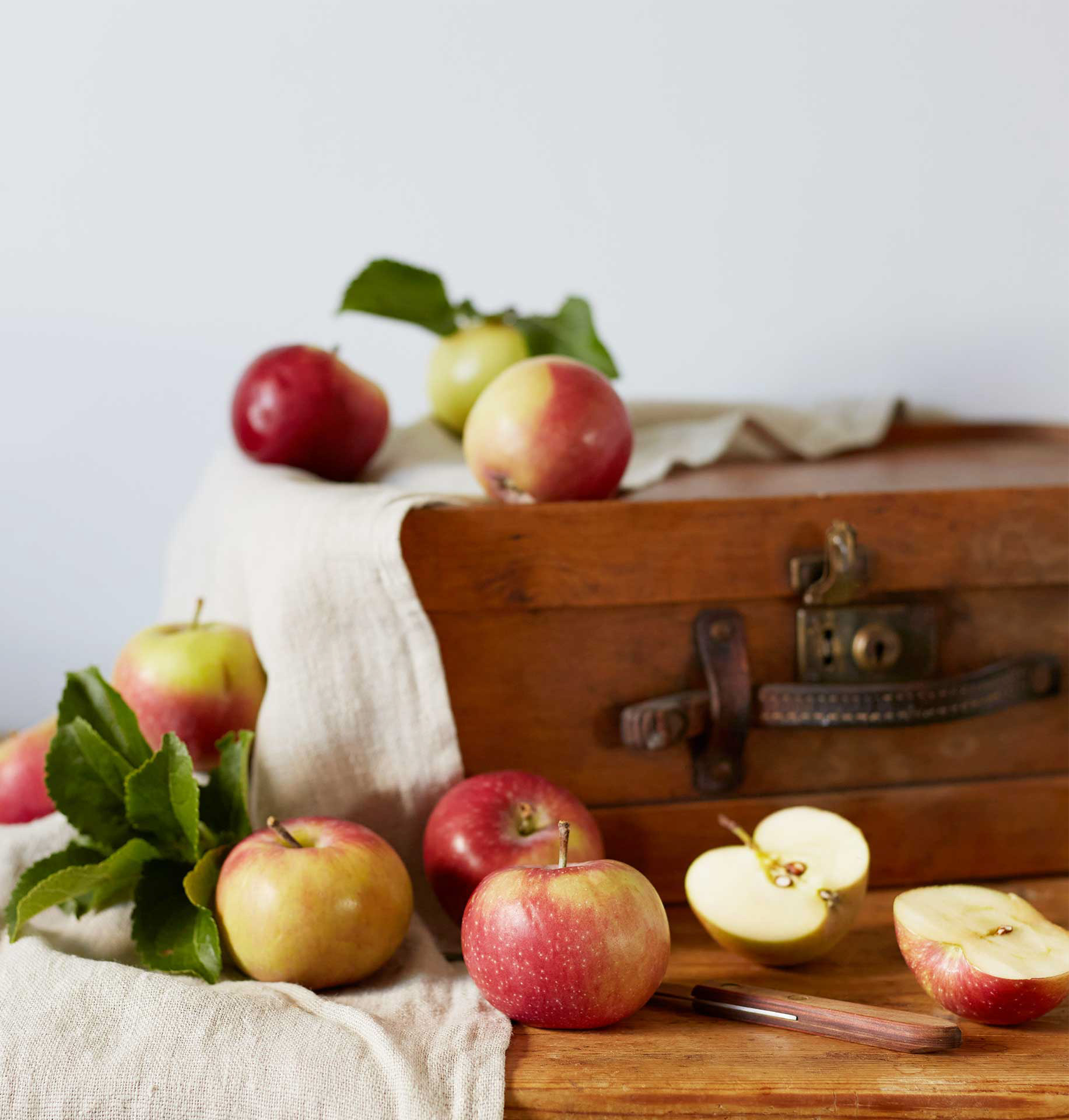 Omenoita kuvattuna vanhan matkalaukun  kanssa