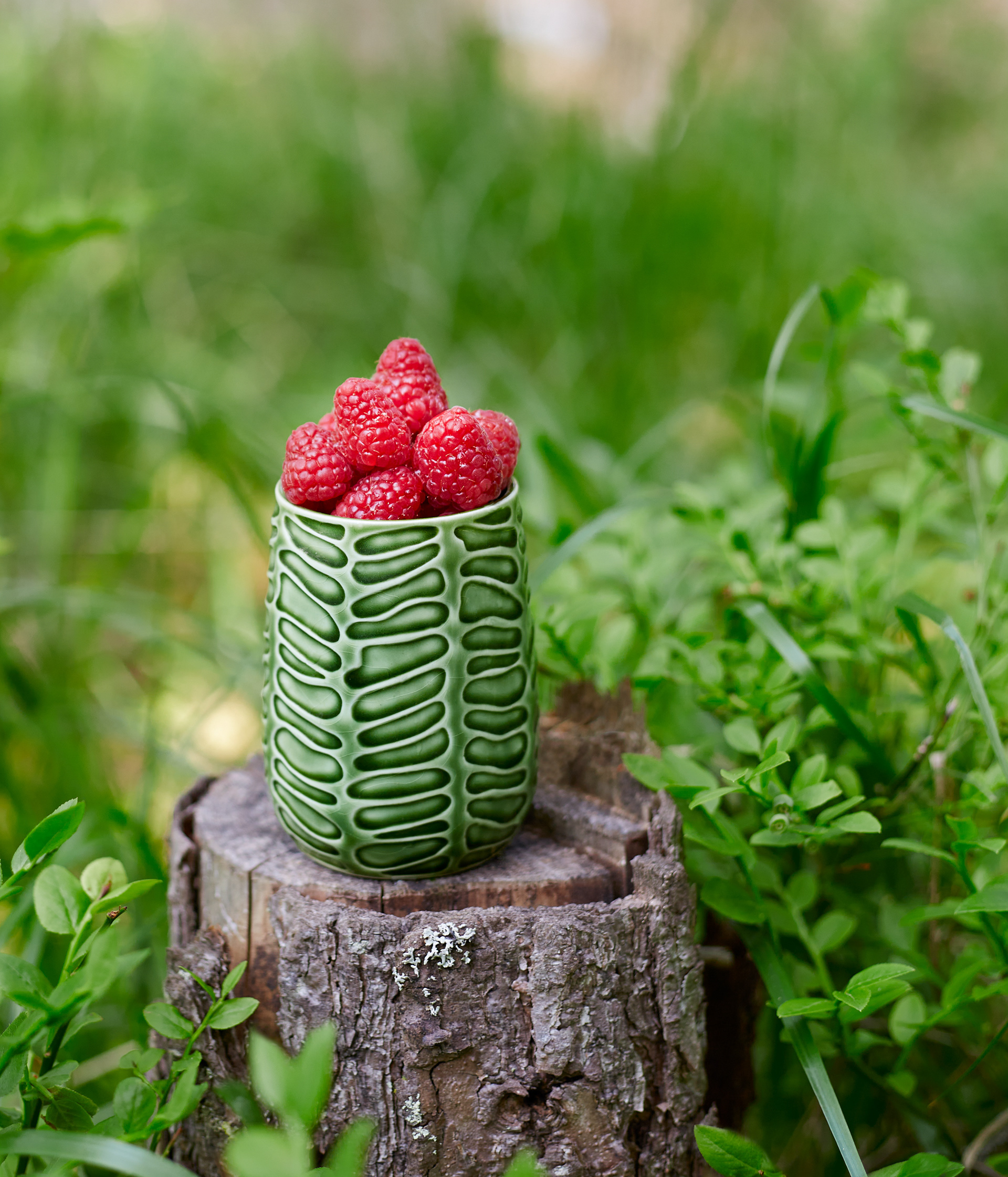 Vihreä muki jossa vadelmia kuvattuna metsässä