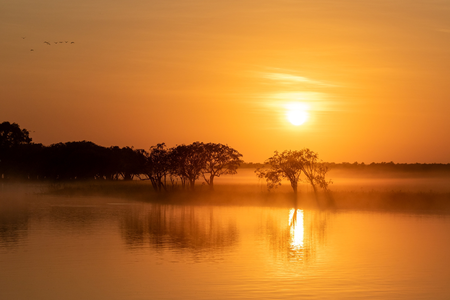 Sunrise over Yellow Waters