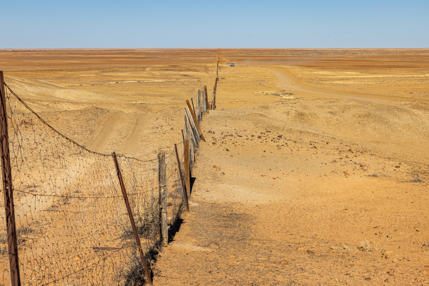 Dingo Fence Journey