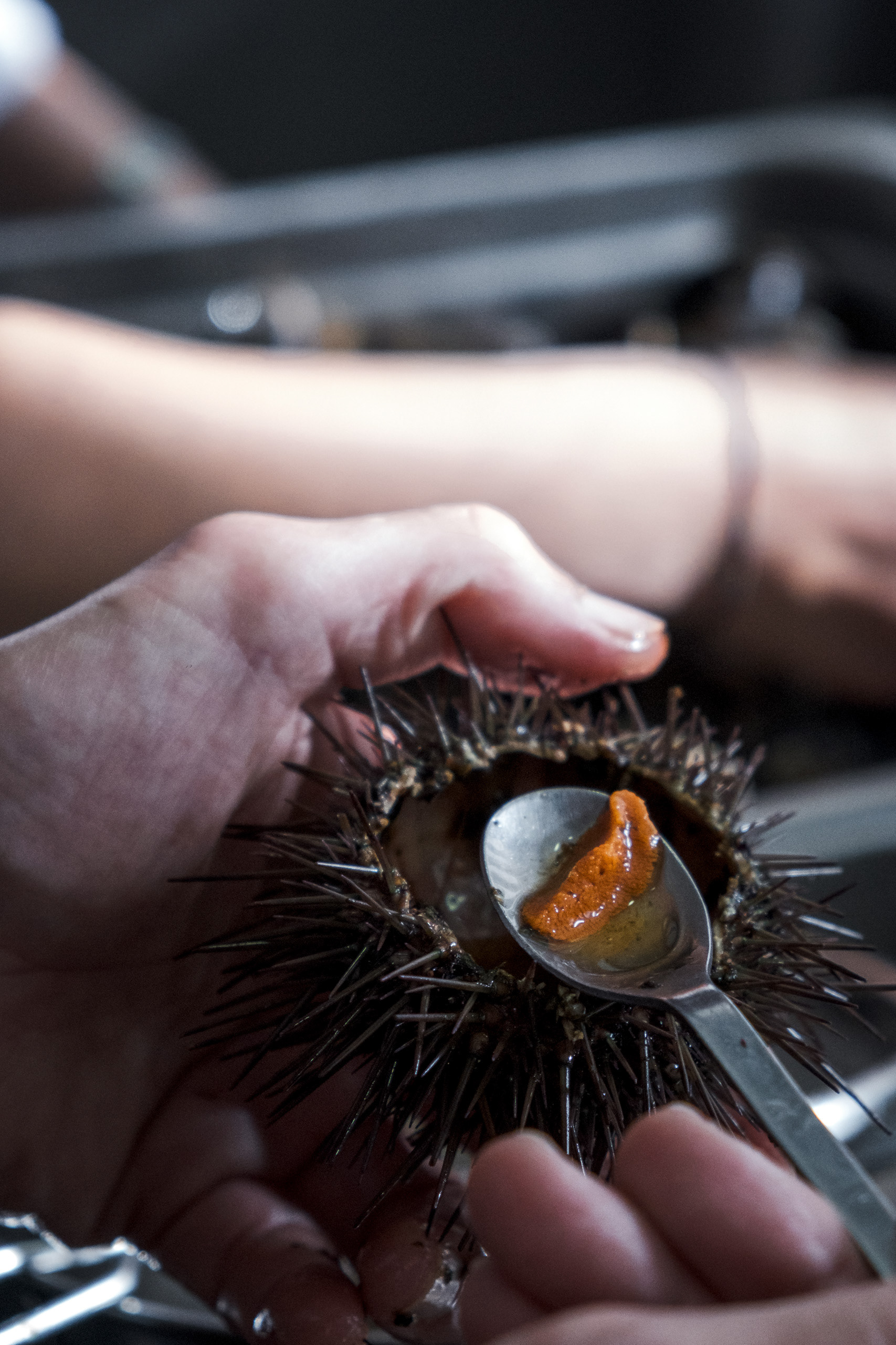 Ouriço. Culler de Pau**, Javier Olleros.