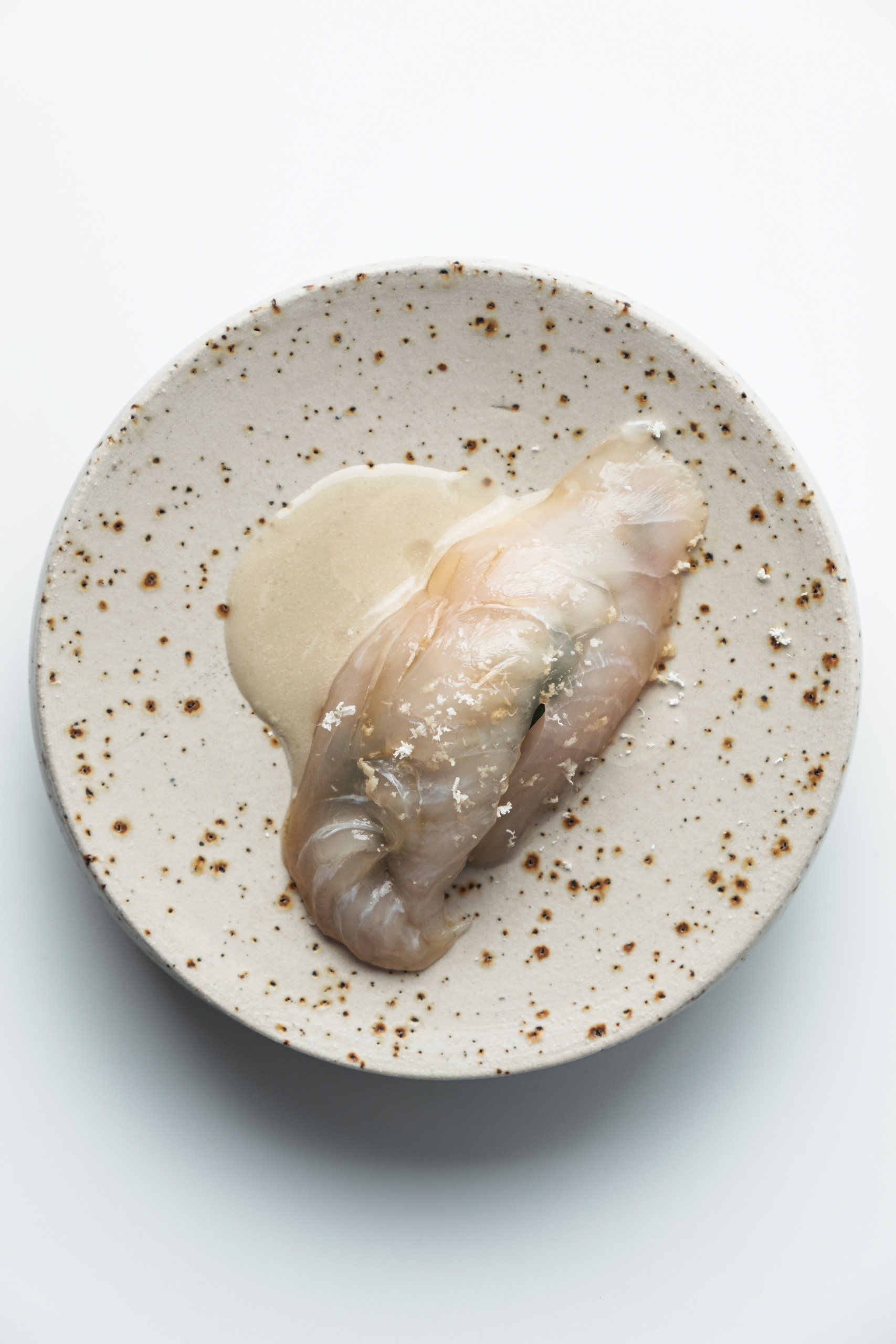 Homenaxe a Xapón. Culler de Pau**, Javier Olleros