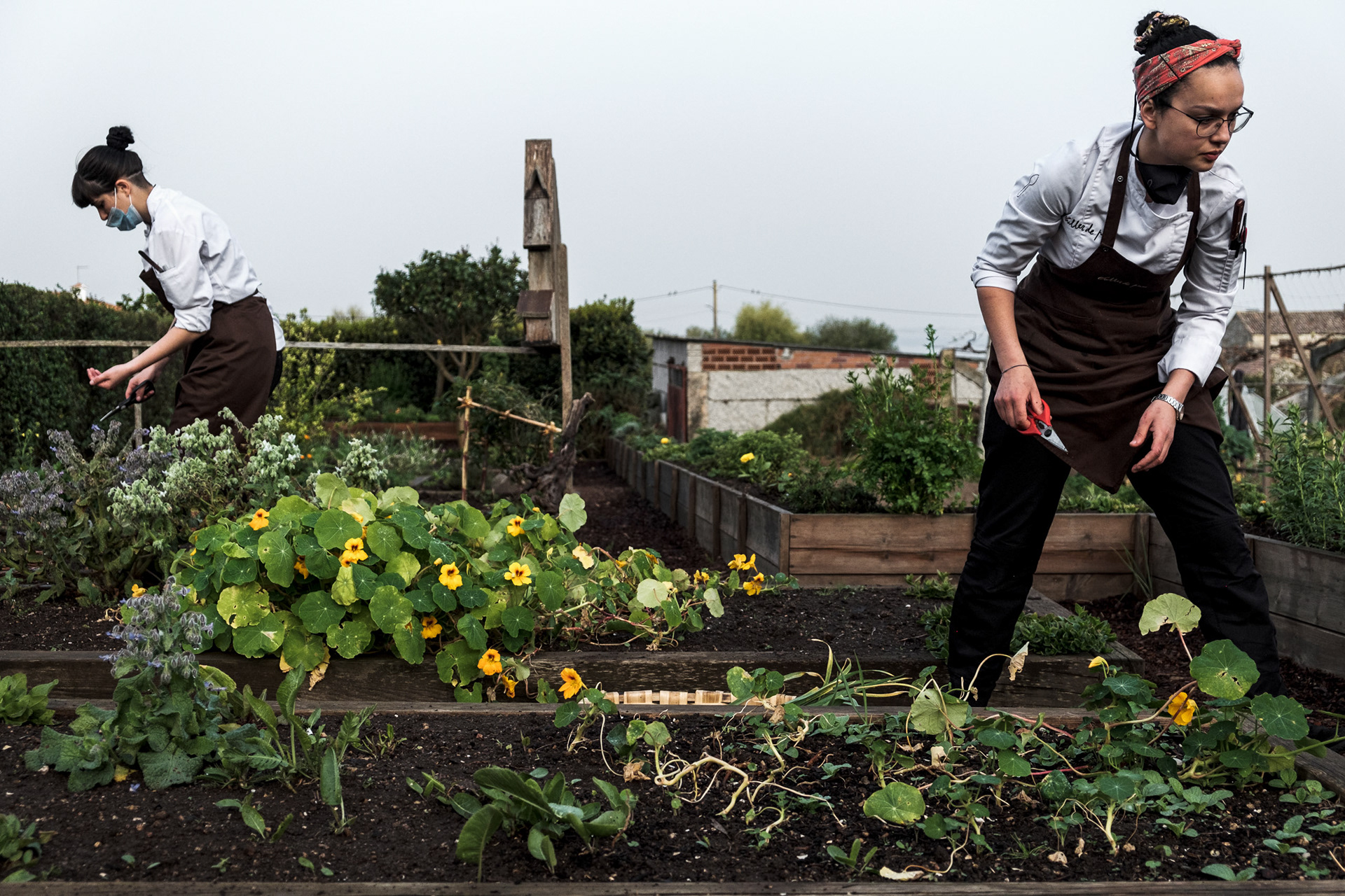 Jardim. Culler de Pau**, Javier Olleros.