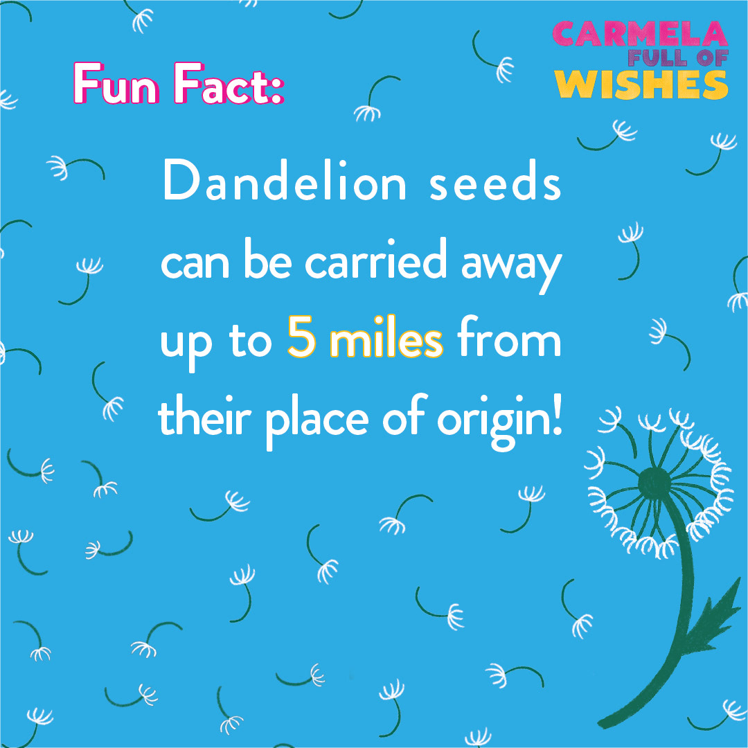 Dandelion Facts Social Image #2