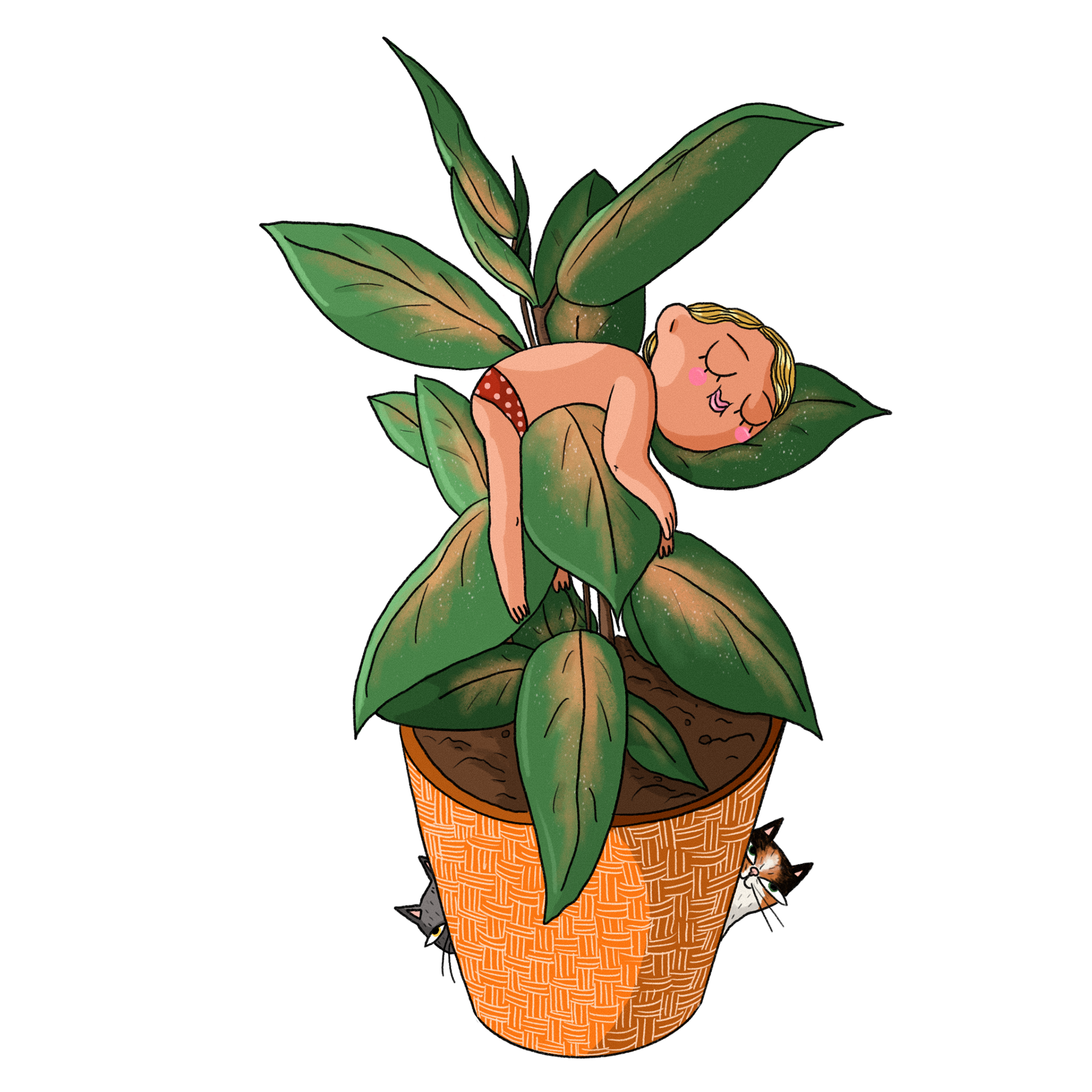 Birth announcement card