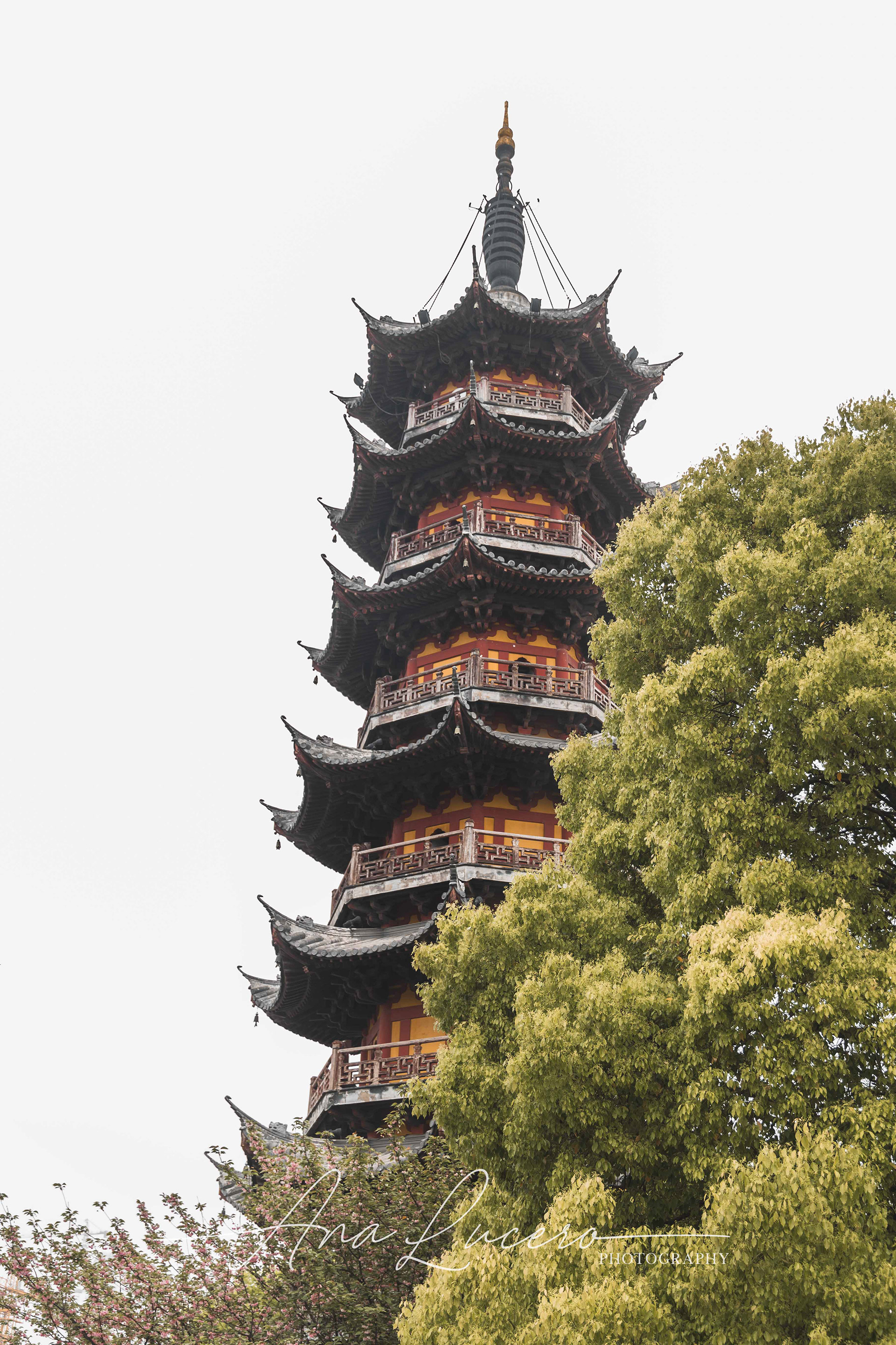 Shanghai, 2018