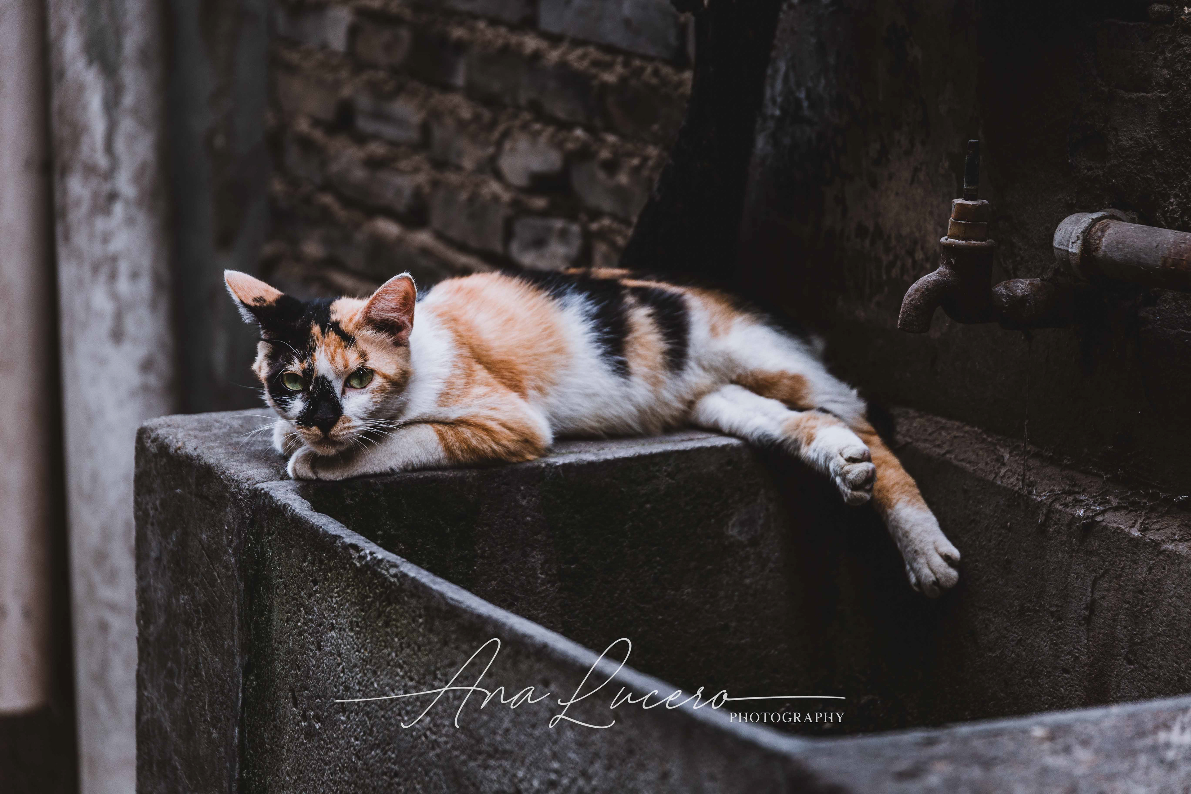 Shanghai, 2018