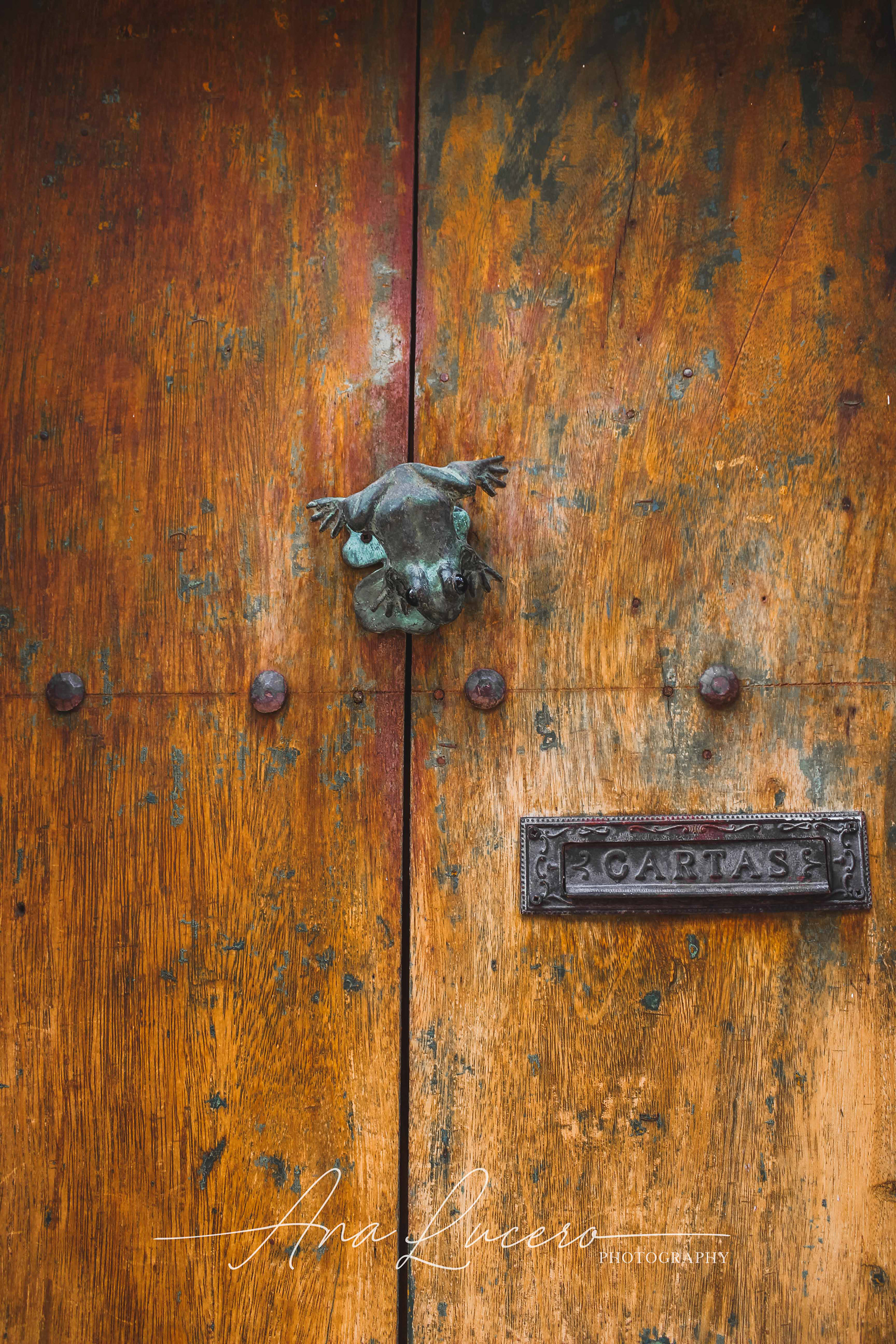 San Miguel de Allende, 2015