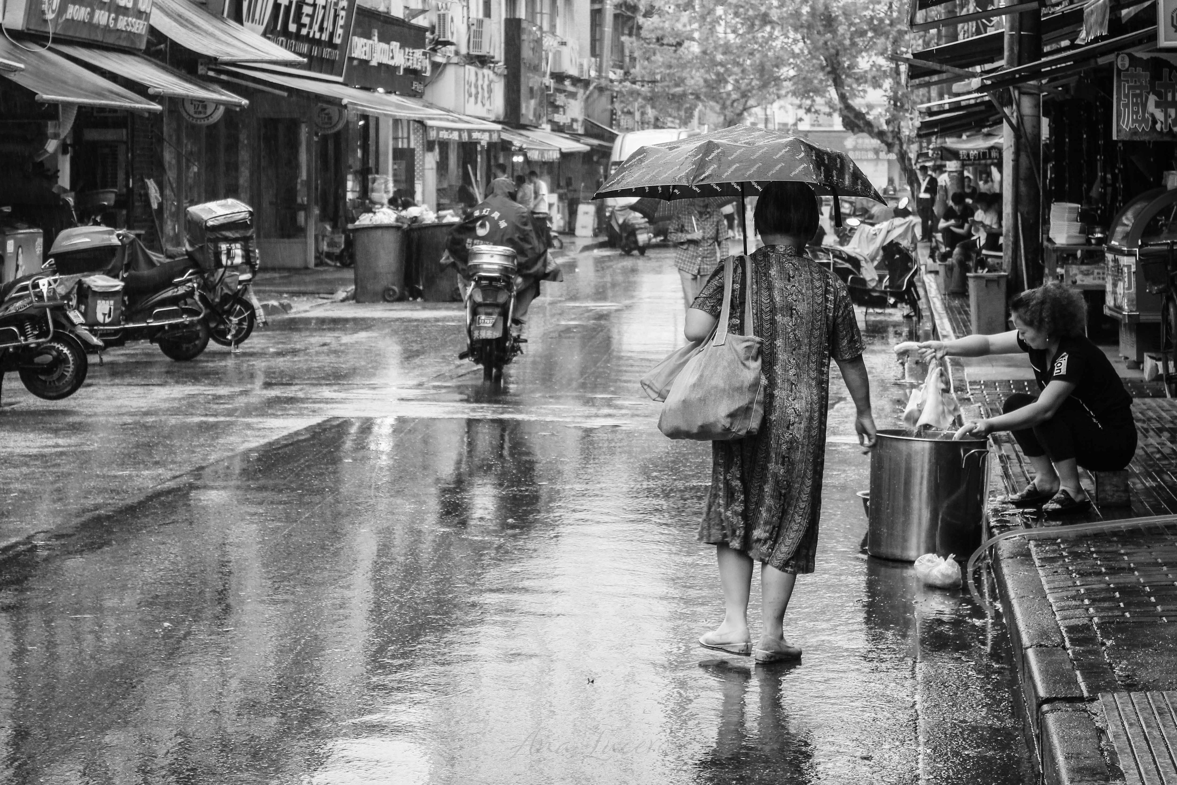 Shanghai, 2016