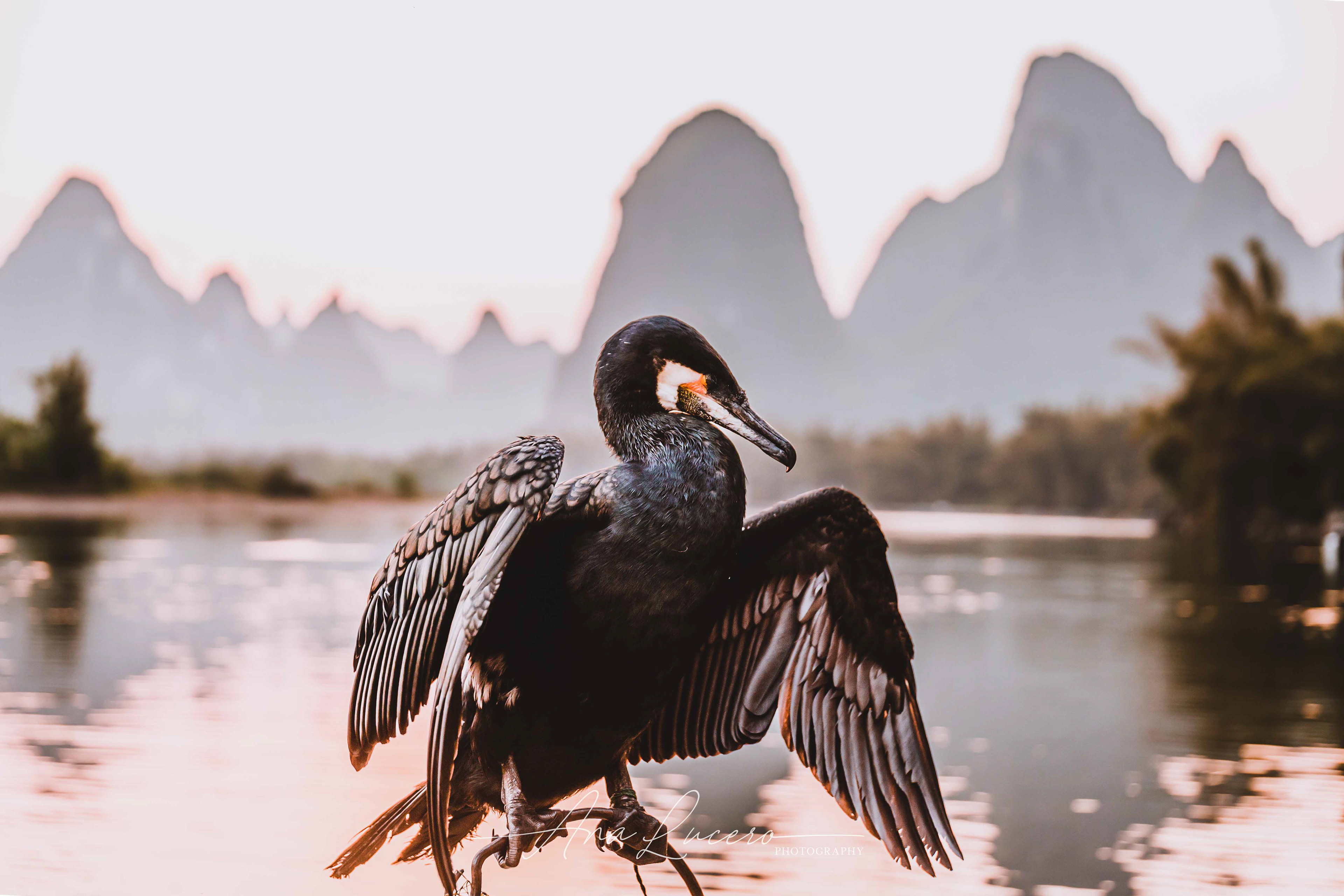 Yangshuo, 2018