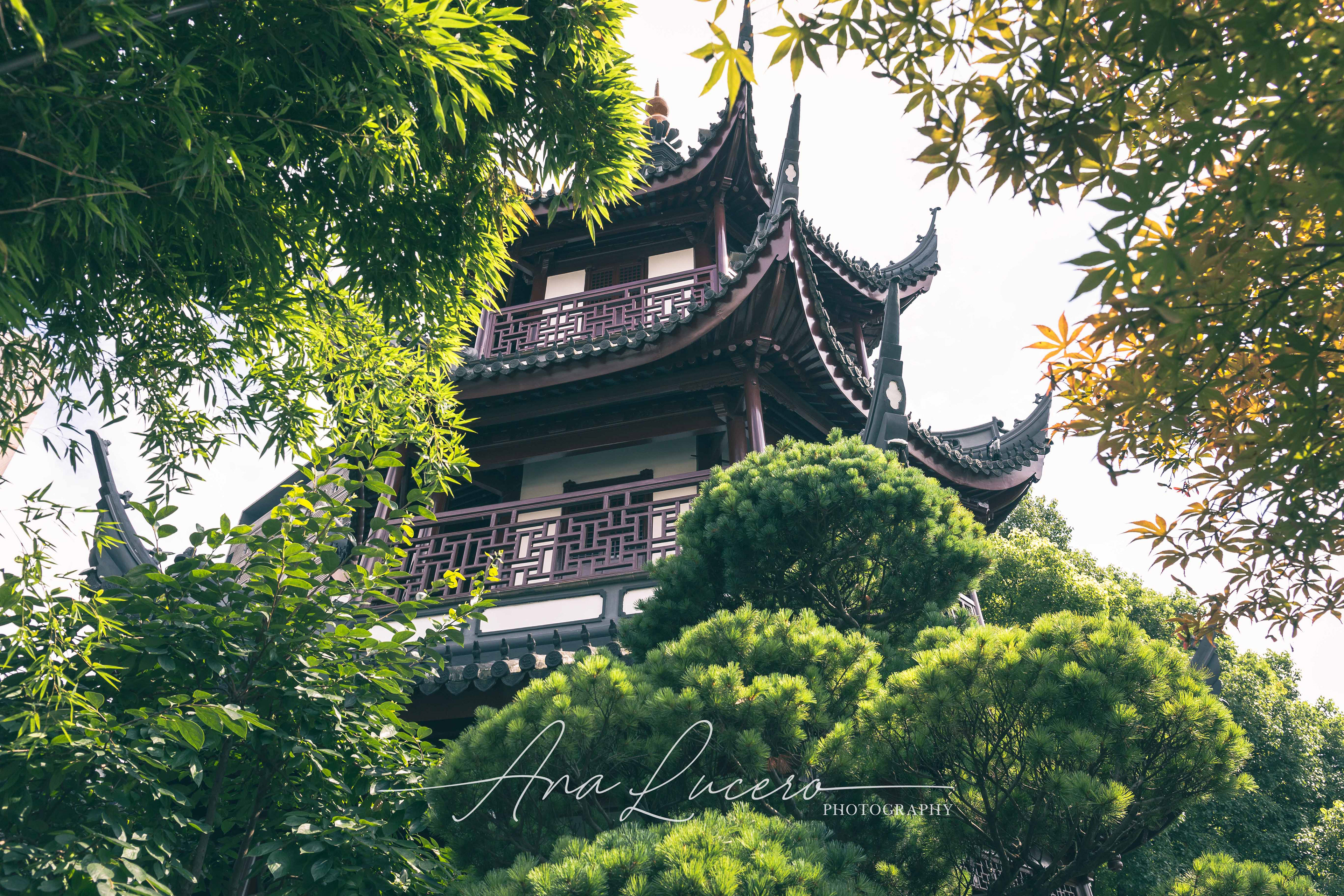 Shanghai, 2018