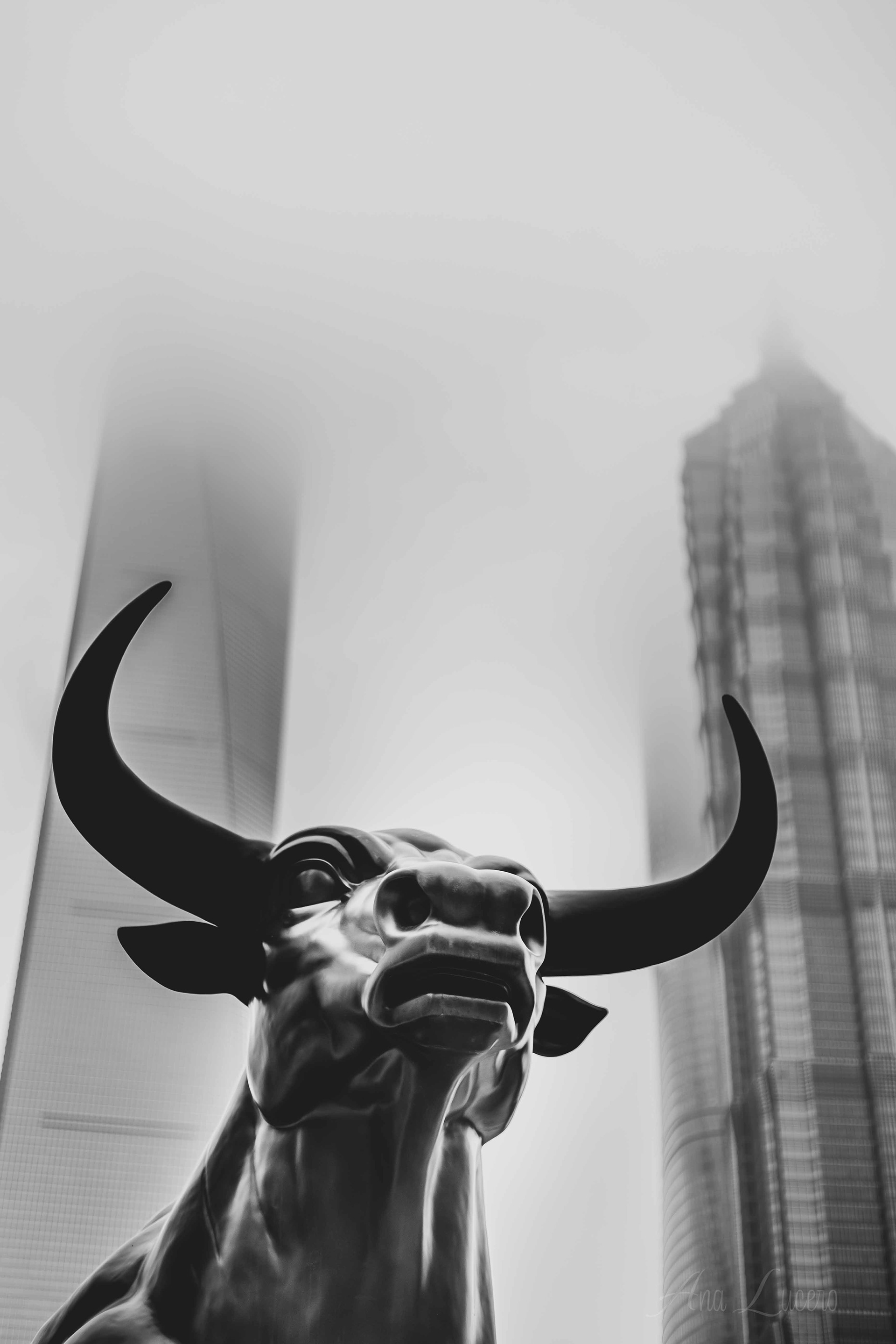 Shanghai, 2021