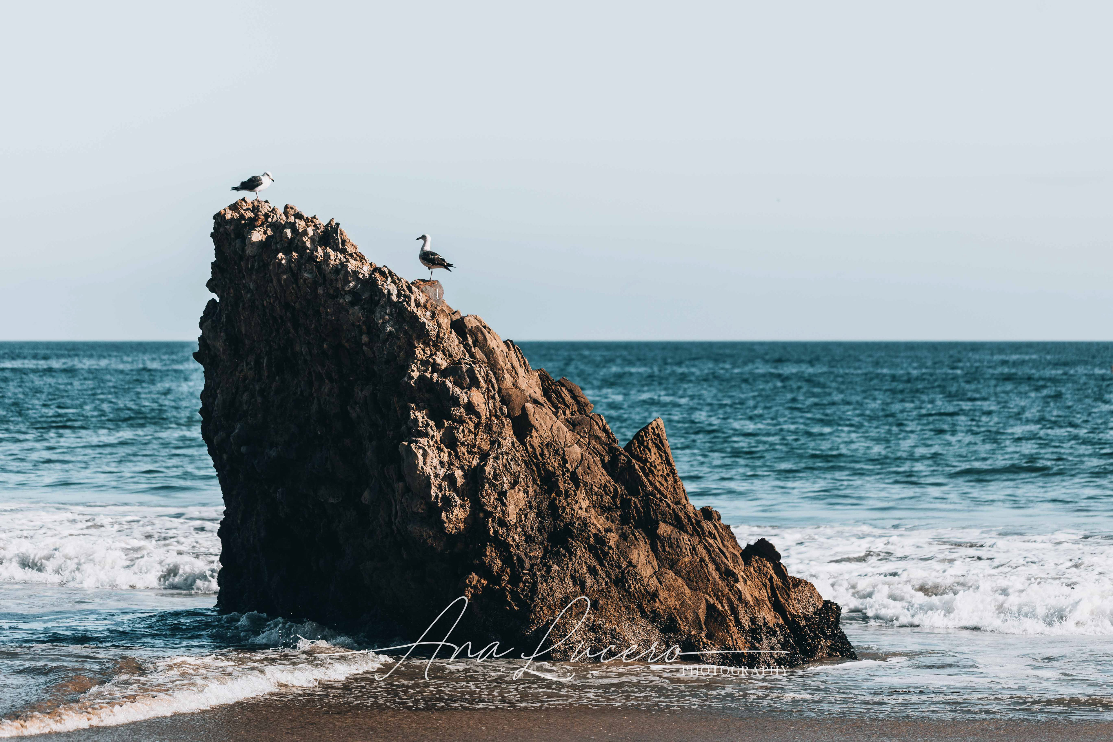 Corona del Mar, 2023