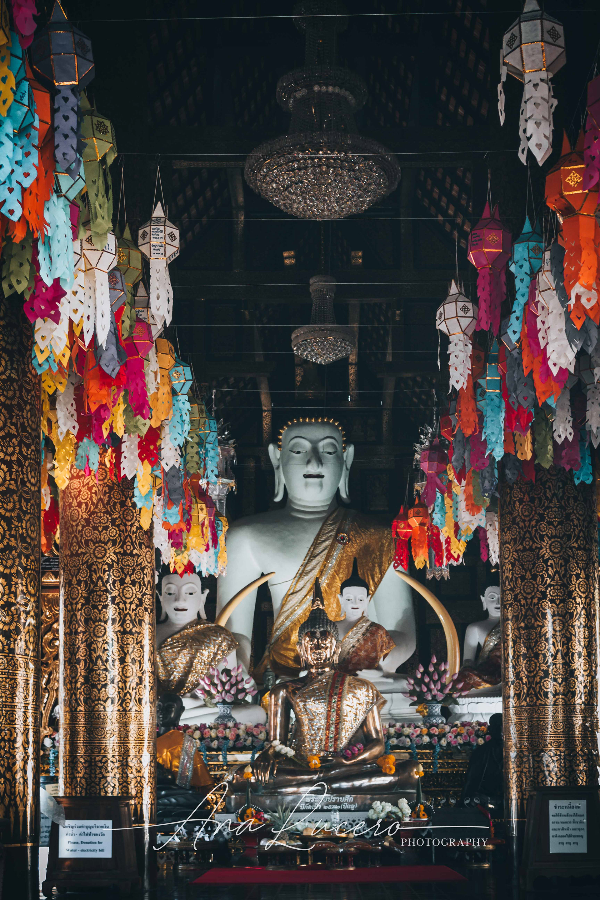 Chiang Mai, 2016