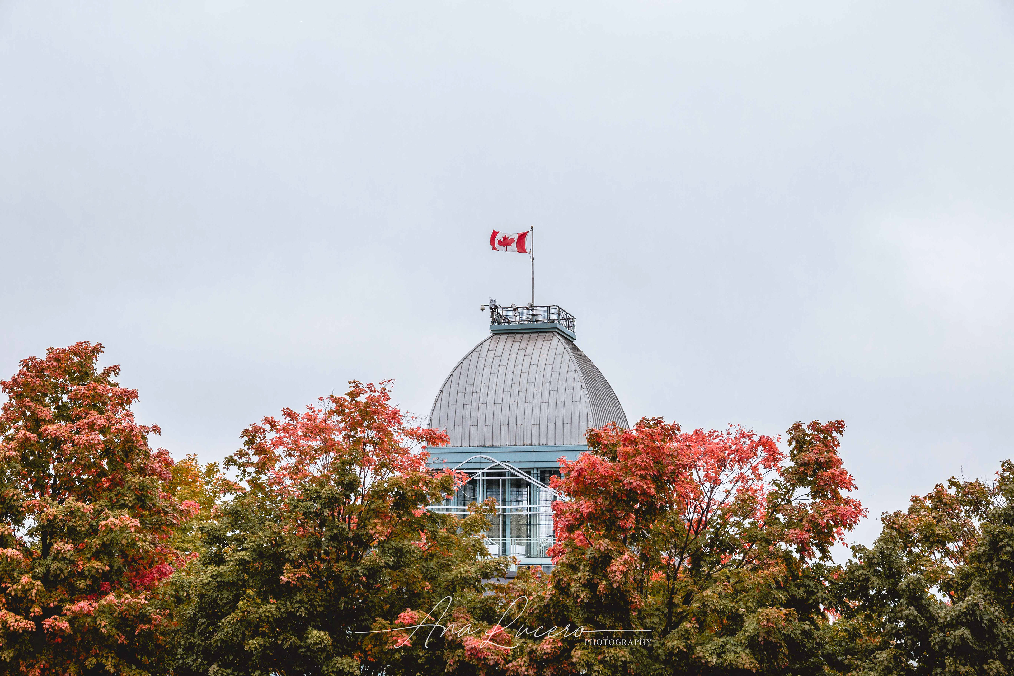 Montreal, 2018