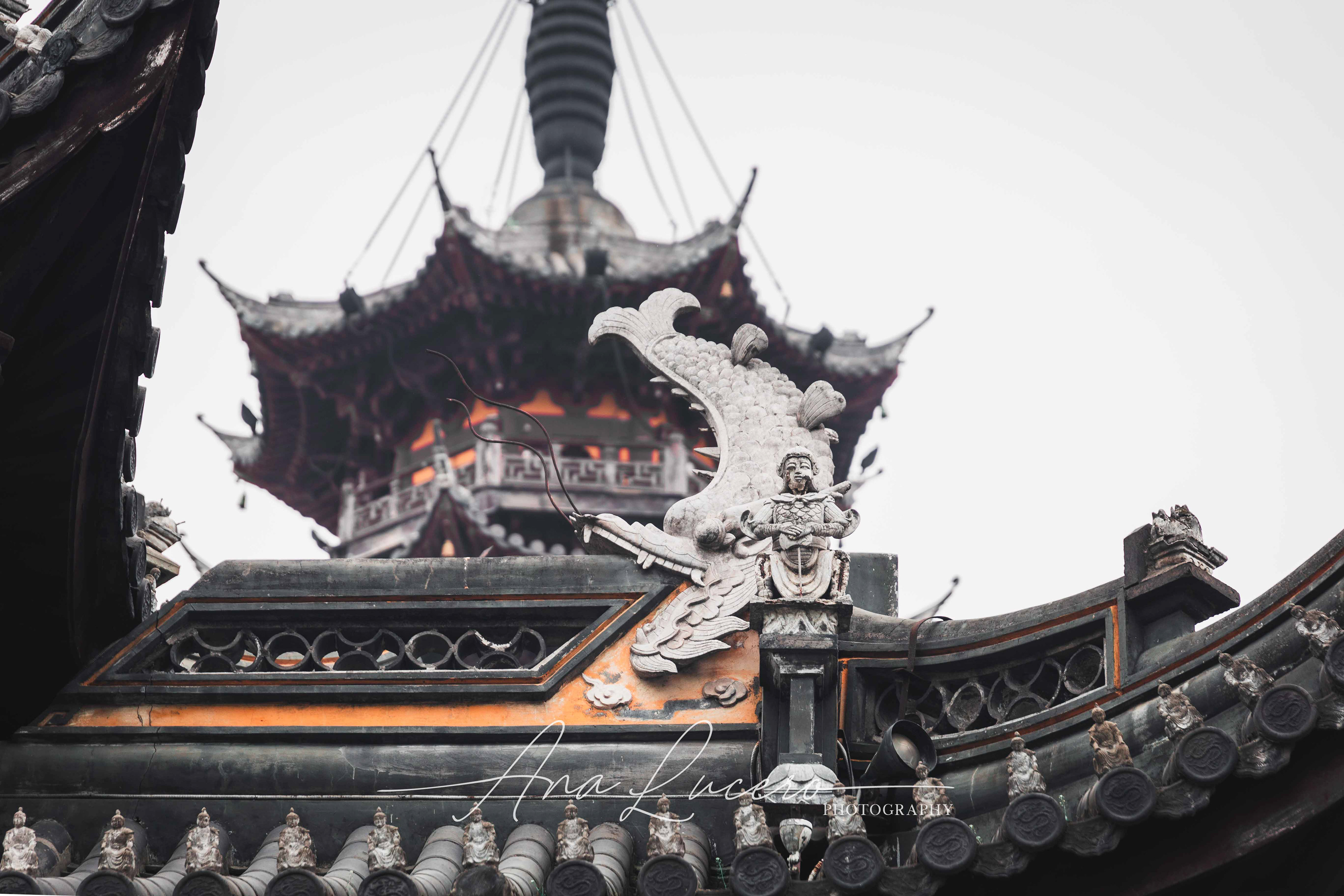 Shanghai, 2019