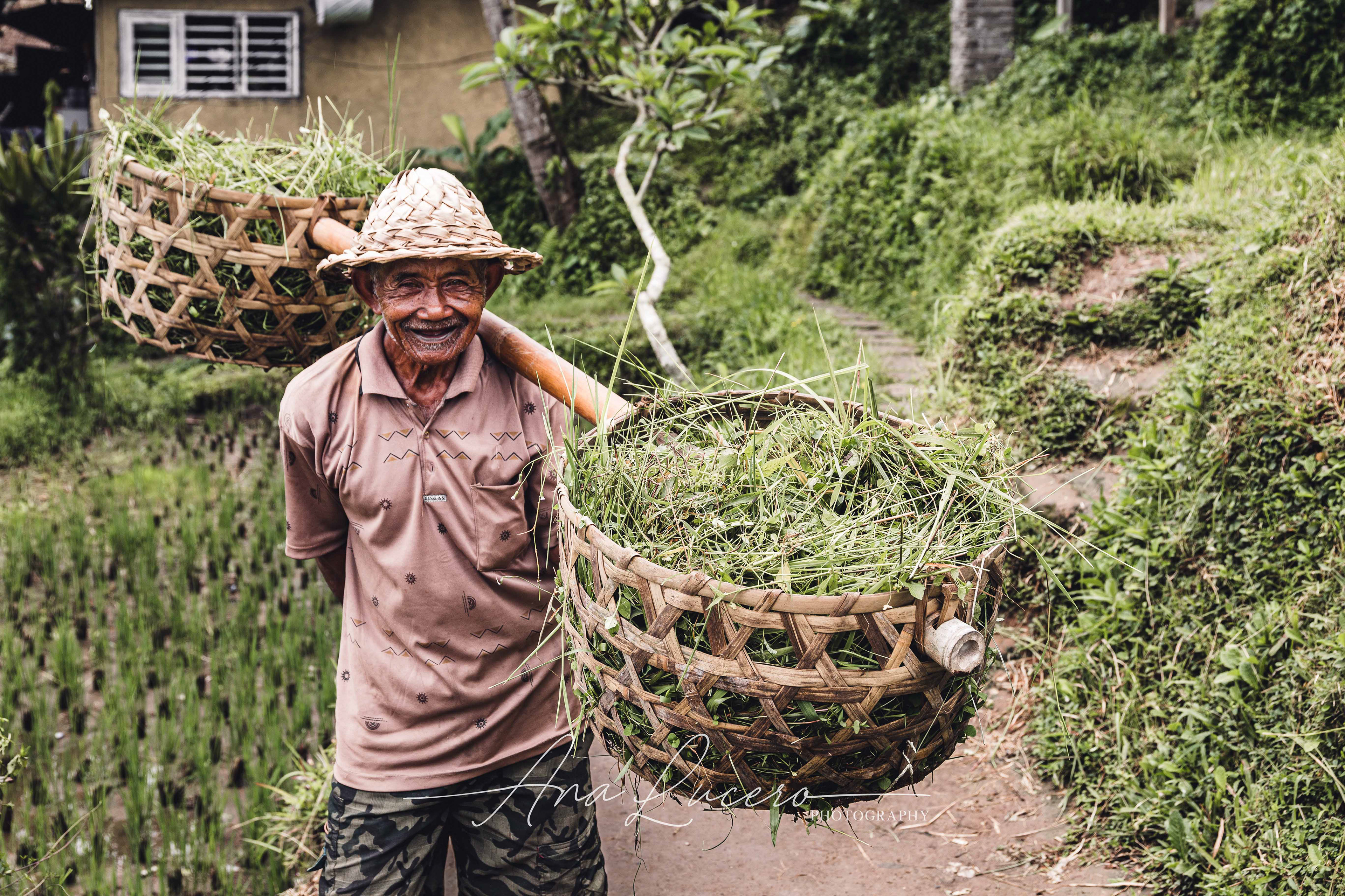 Ubud, 2017