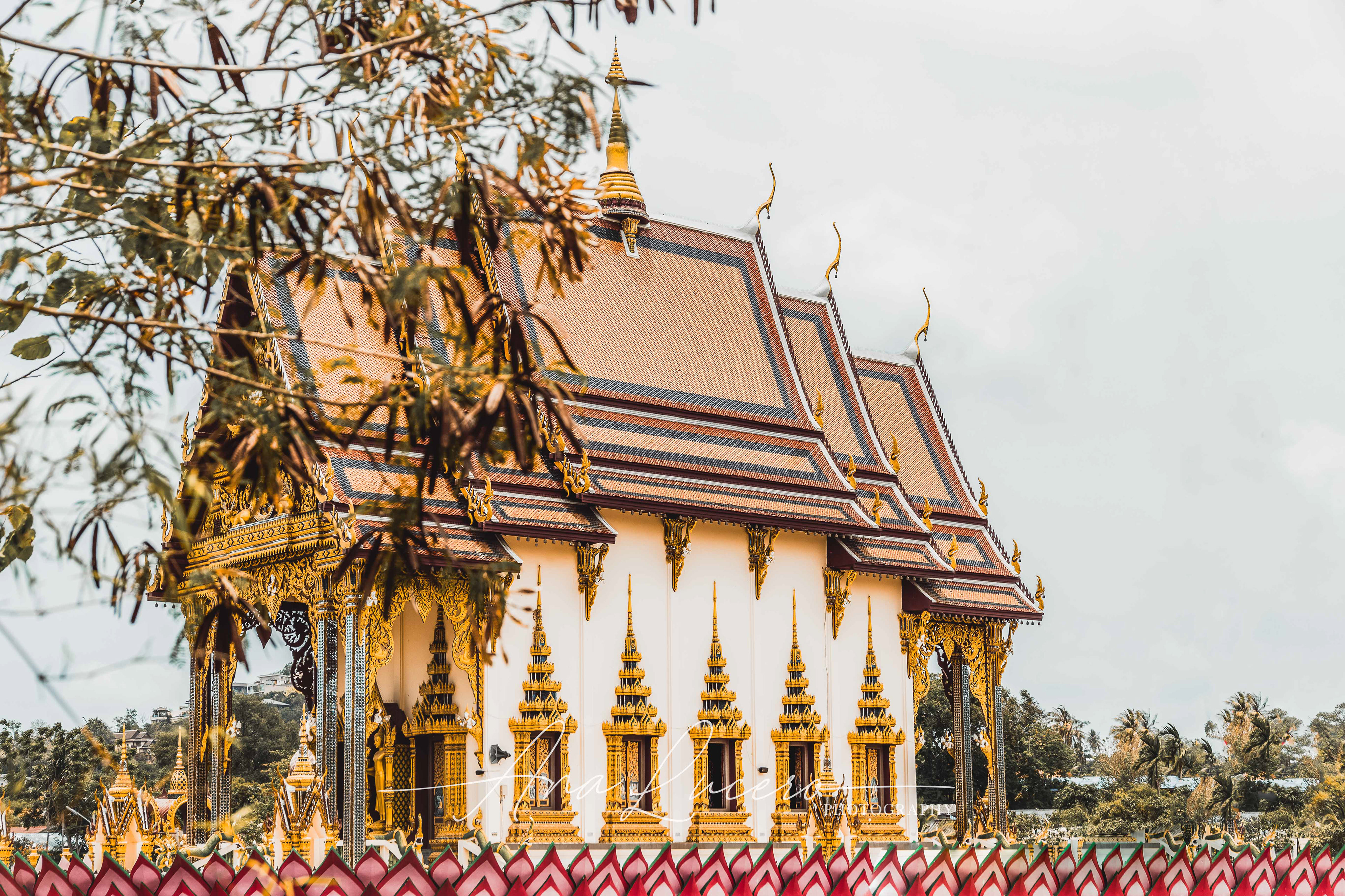 Koh Samui, 2019