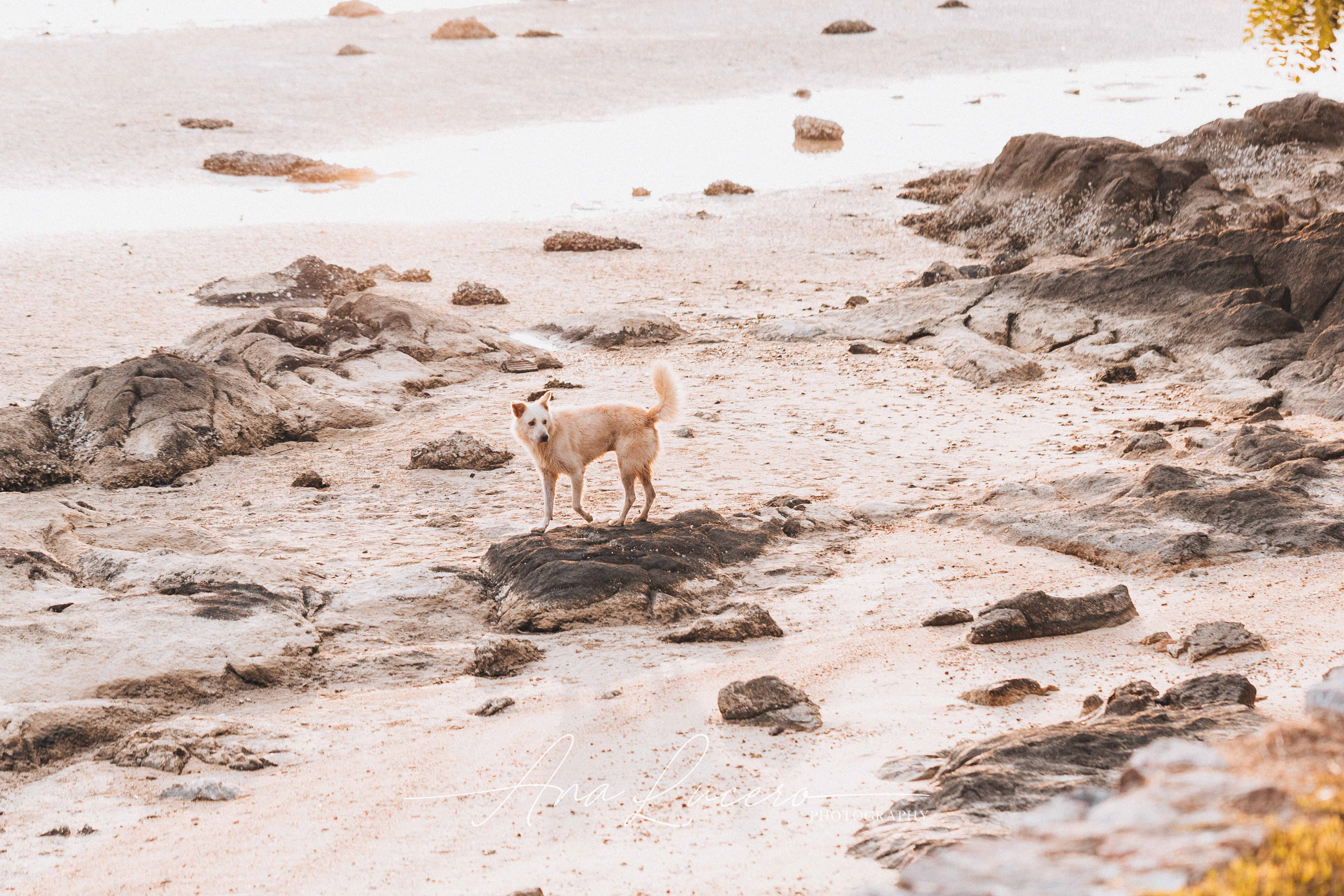 Koh Samui, 2019