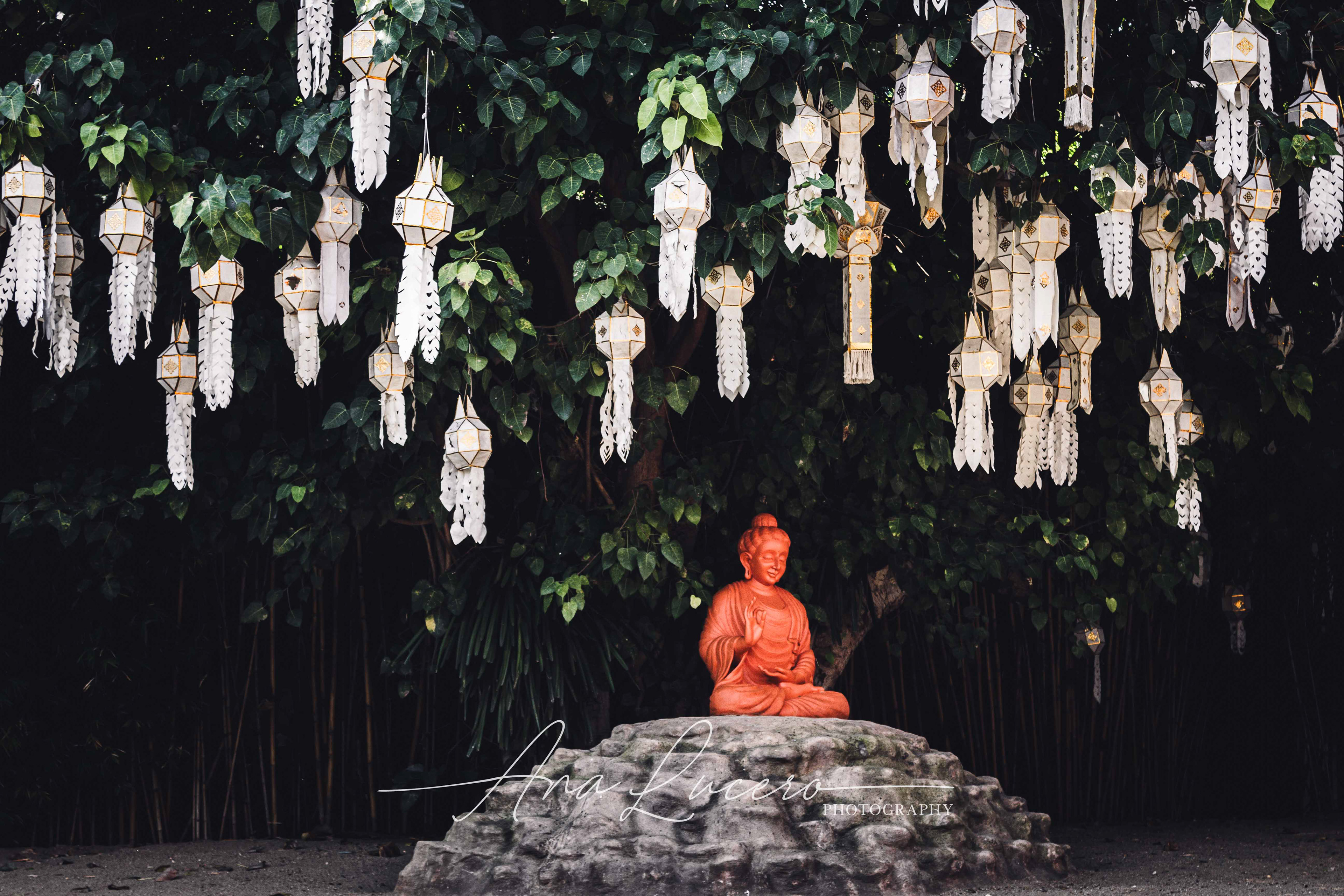 Chiang Mai, 2016