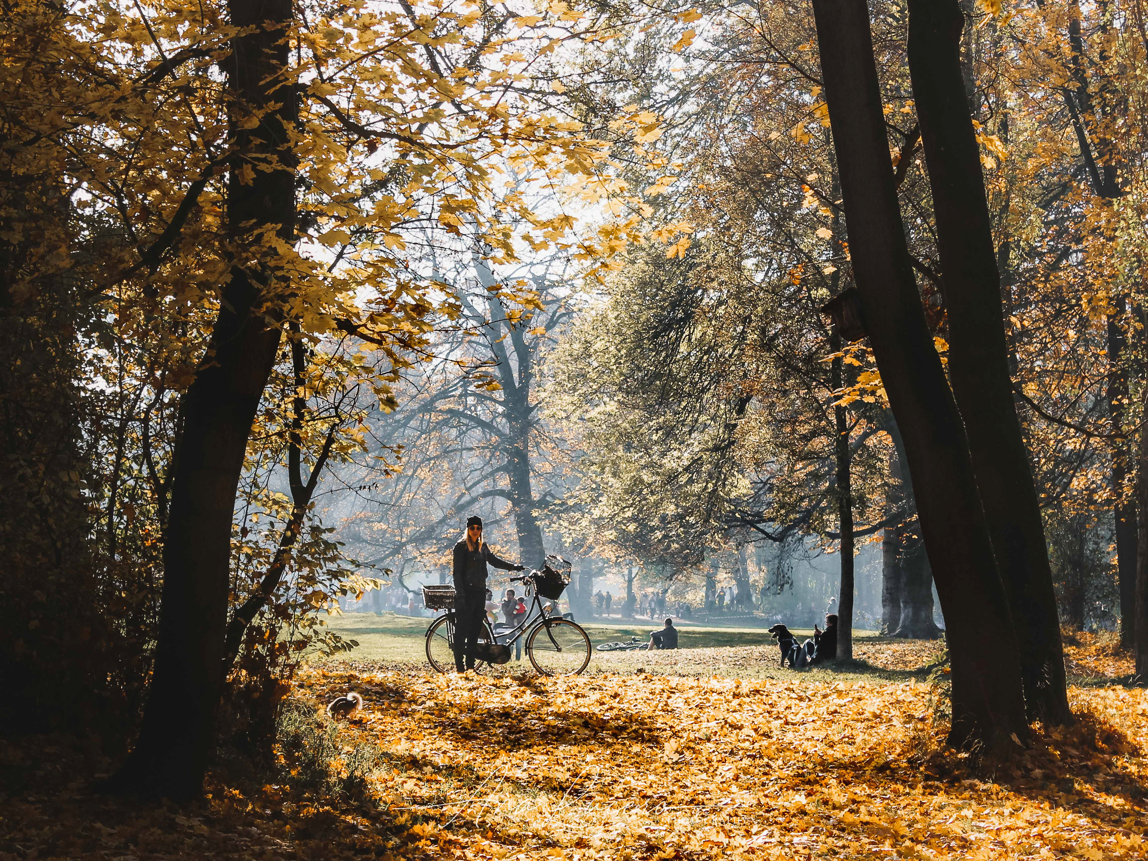 Munich, 2015