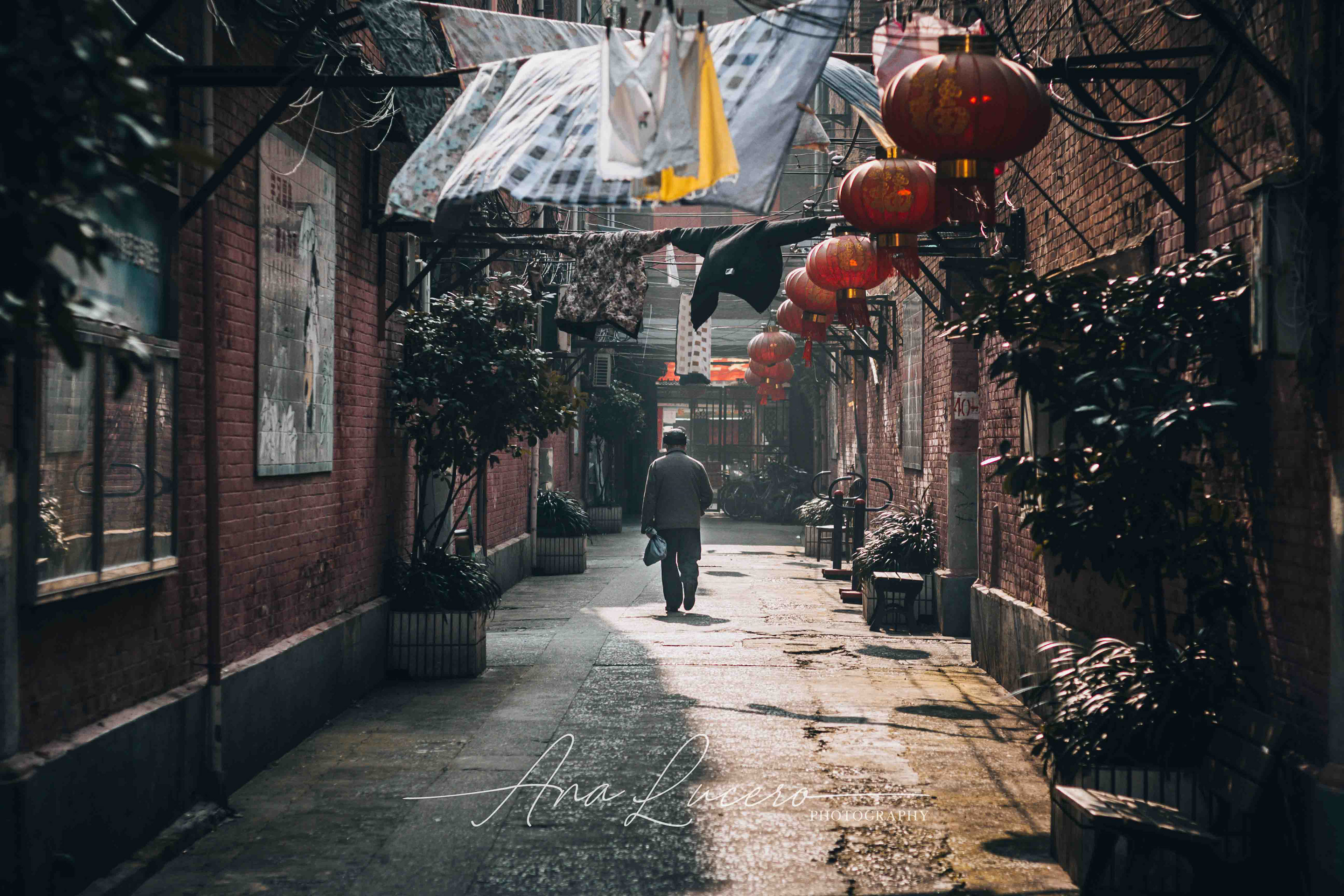 Shanghai, 2016