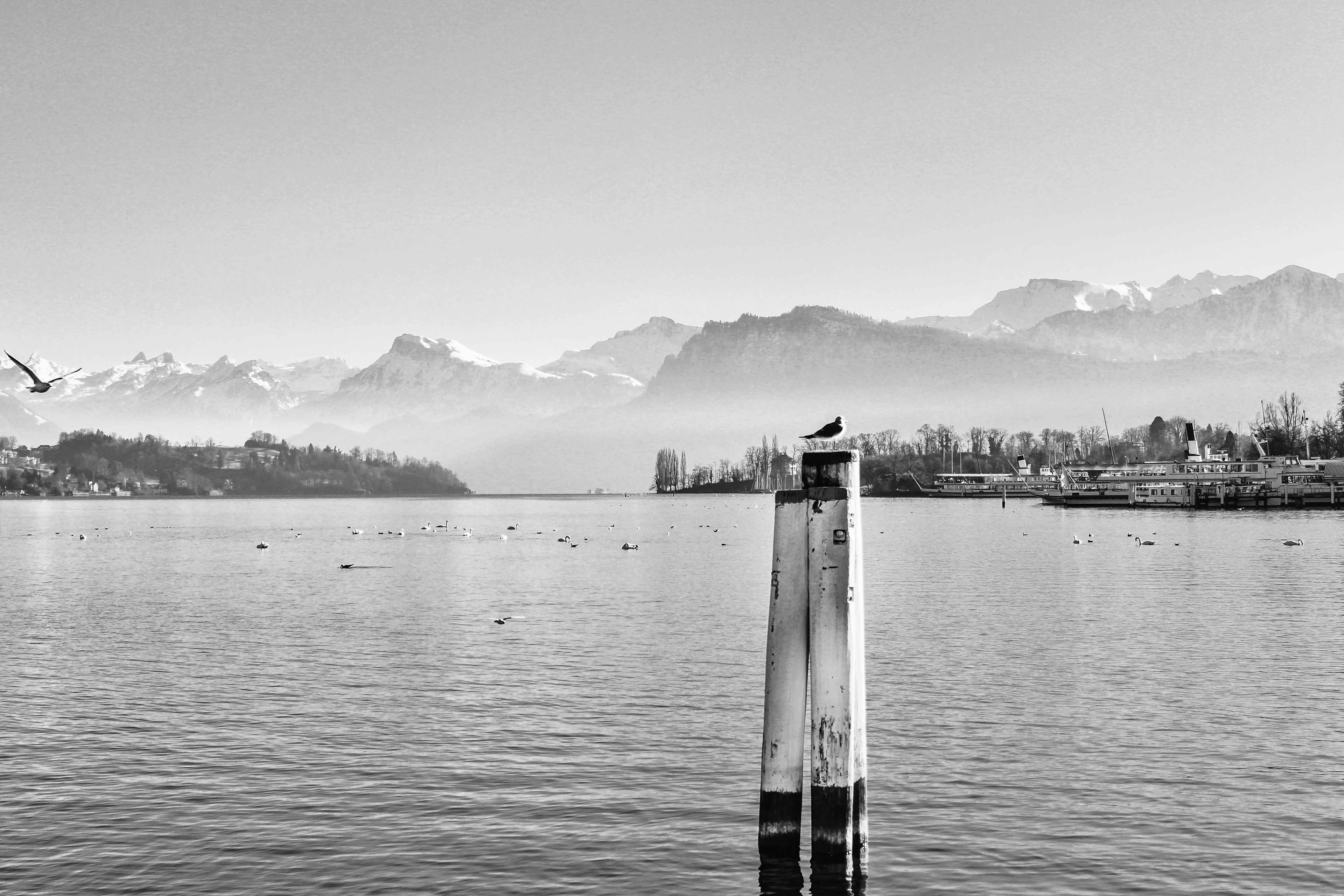 Luzern, 2014