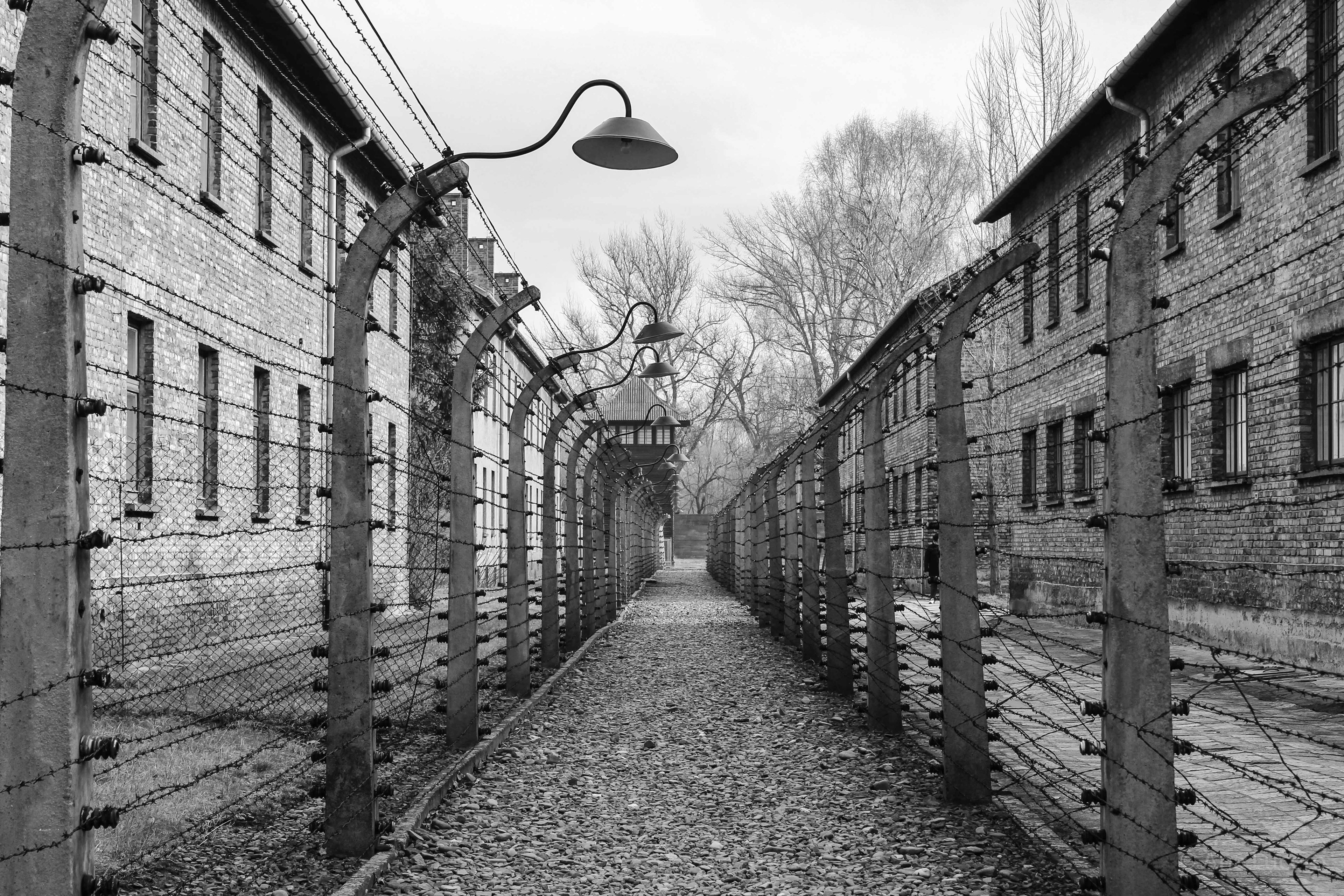 Auschwitz, 2015