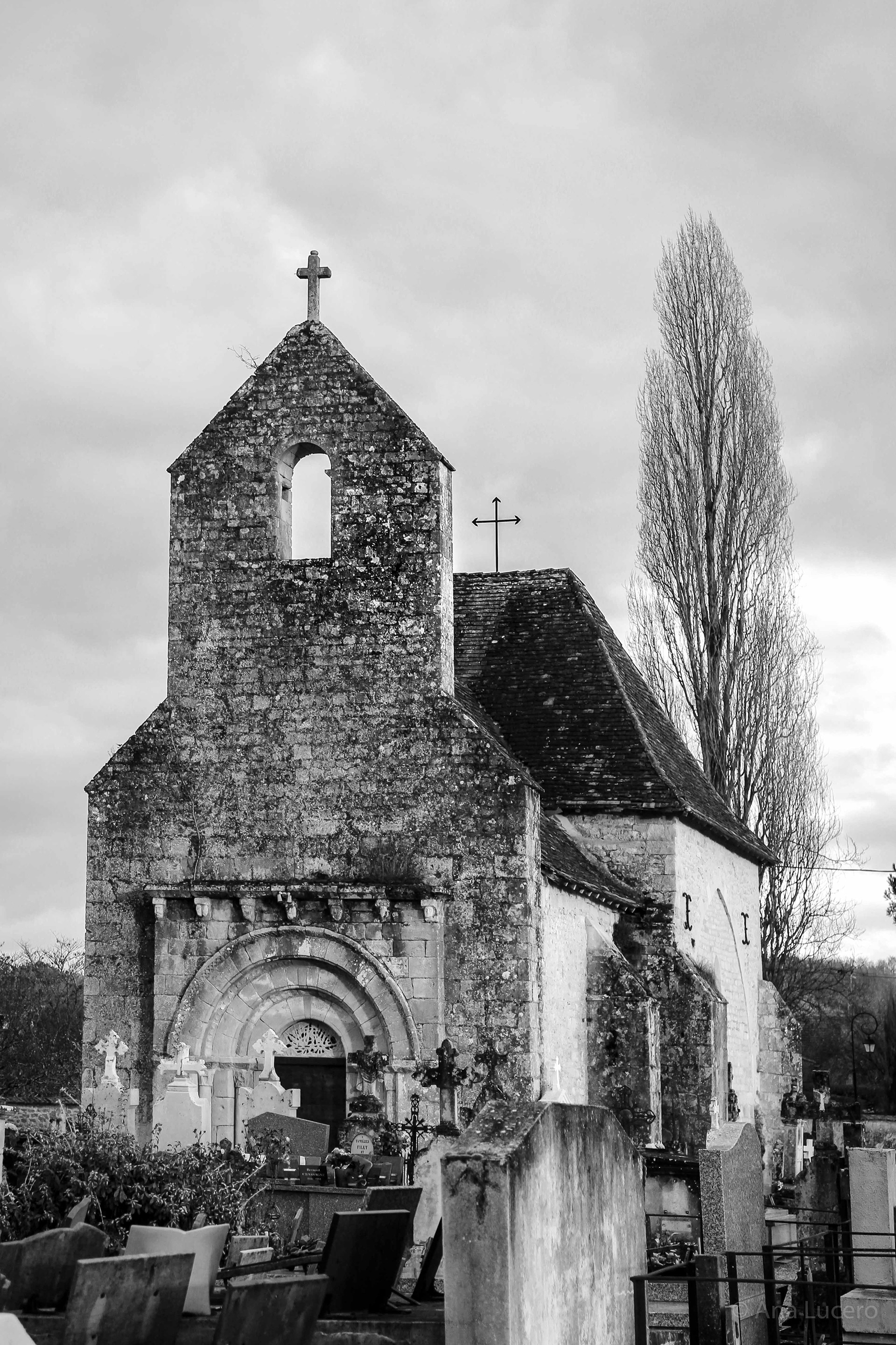 Tremolat, 2015