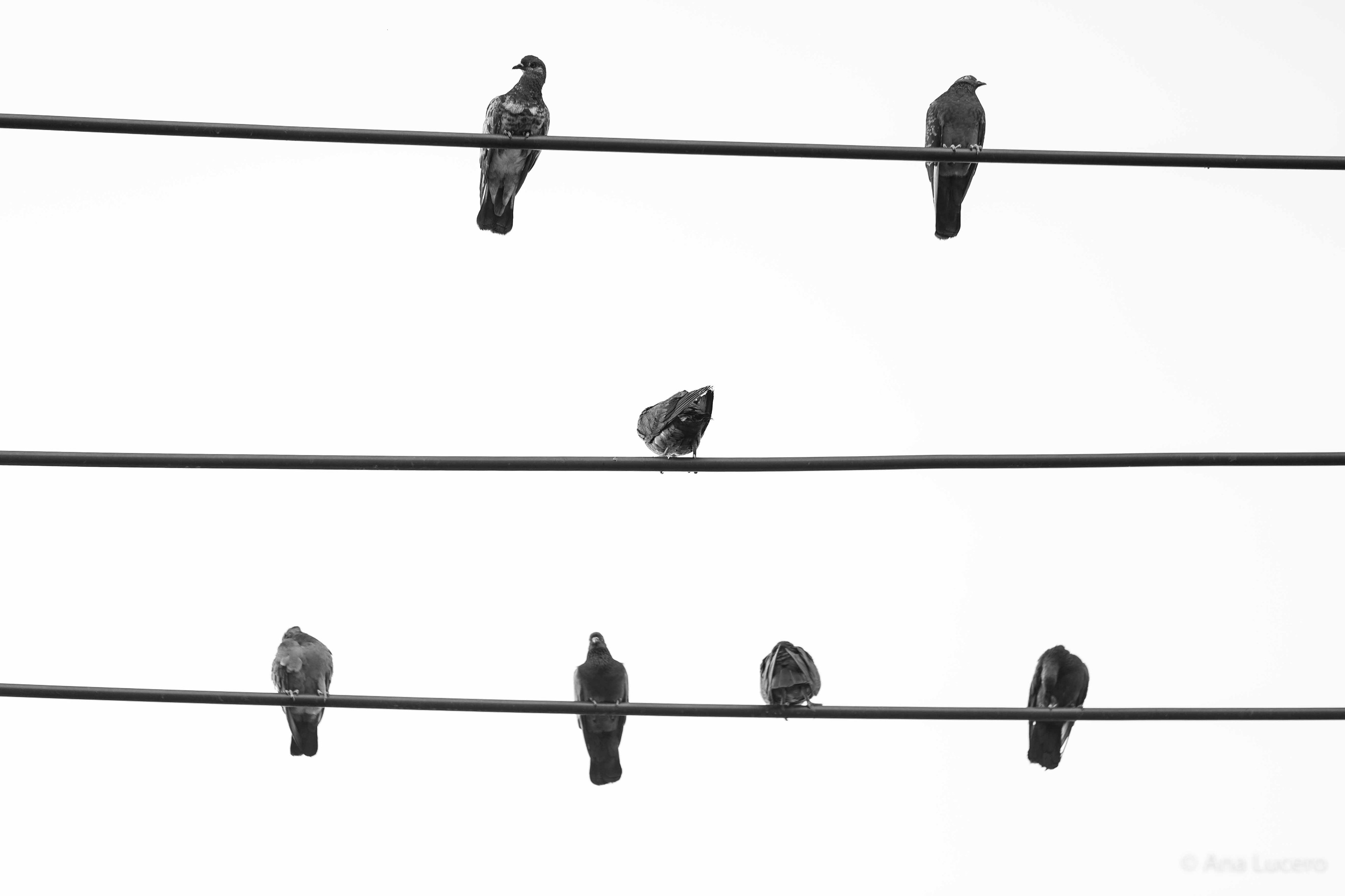 Bangkok, 2019