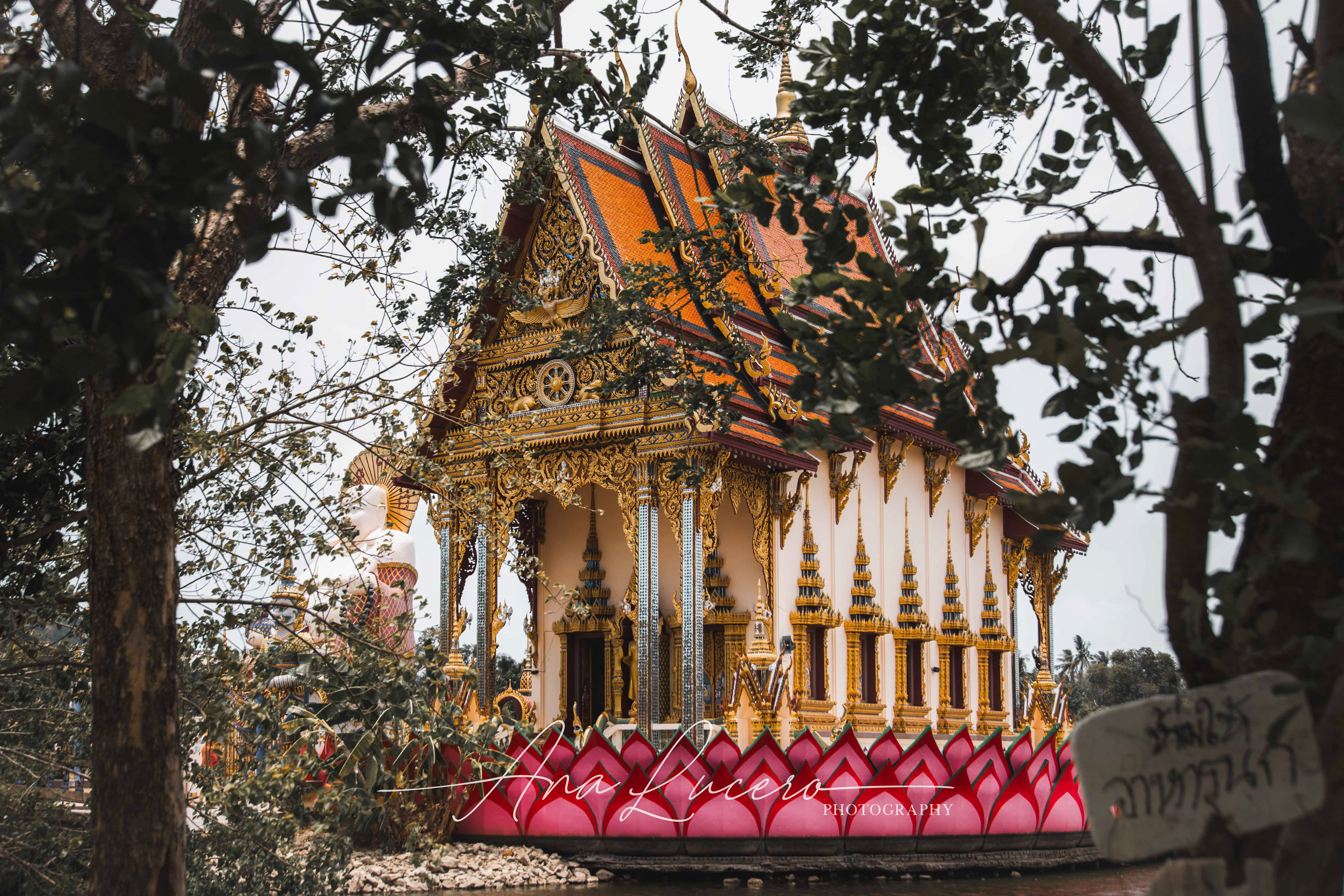 Koh Samui, 2019