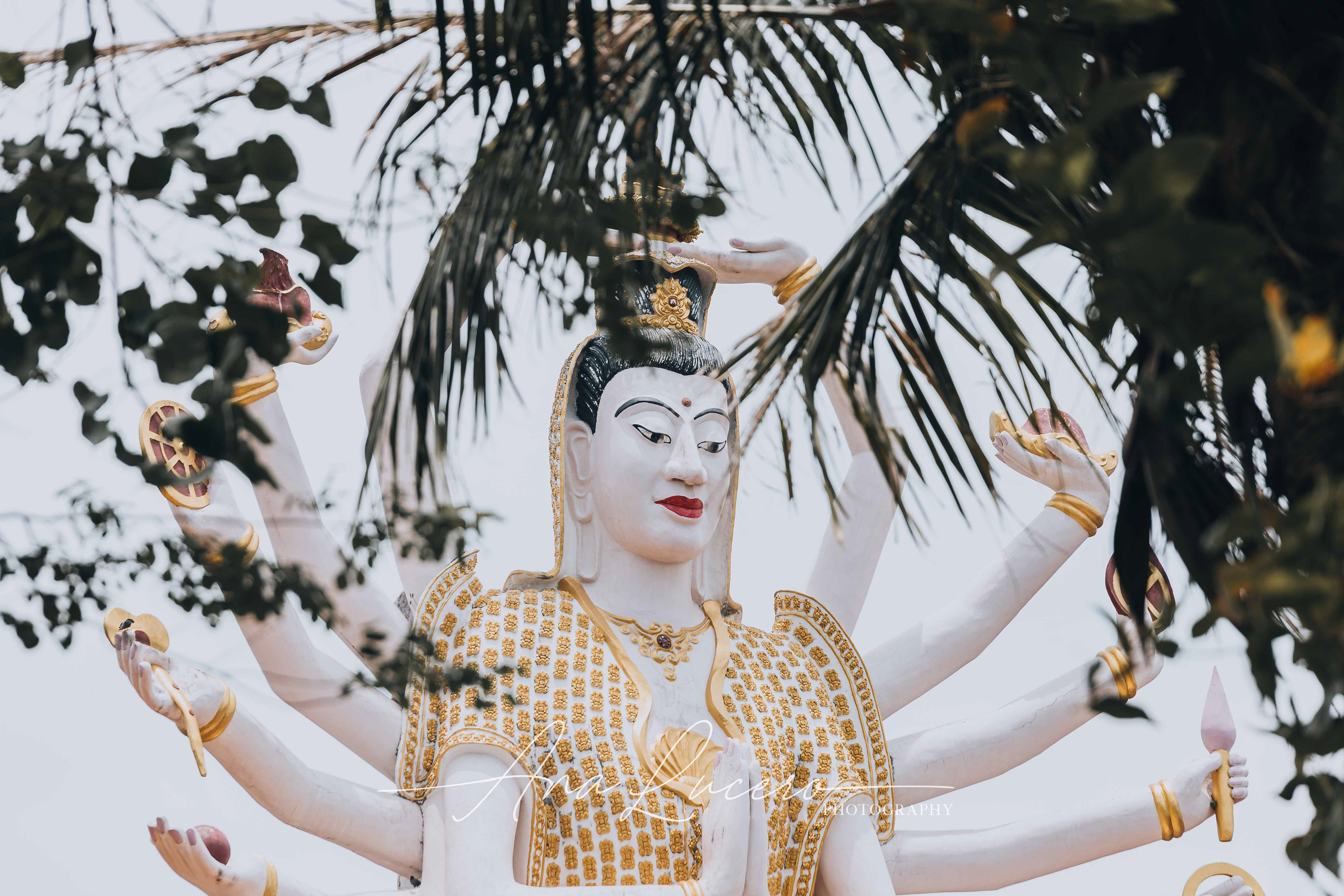 Koh Samui, 2019