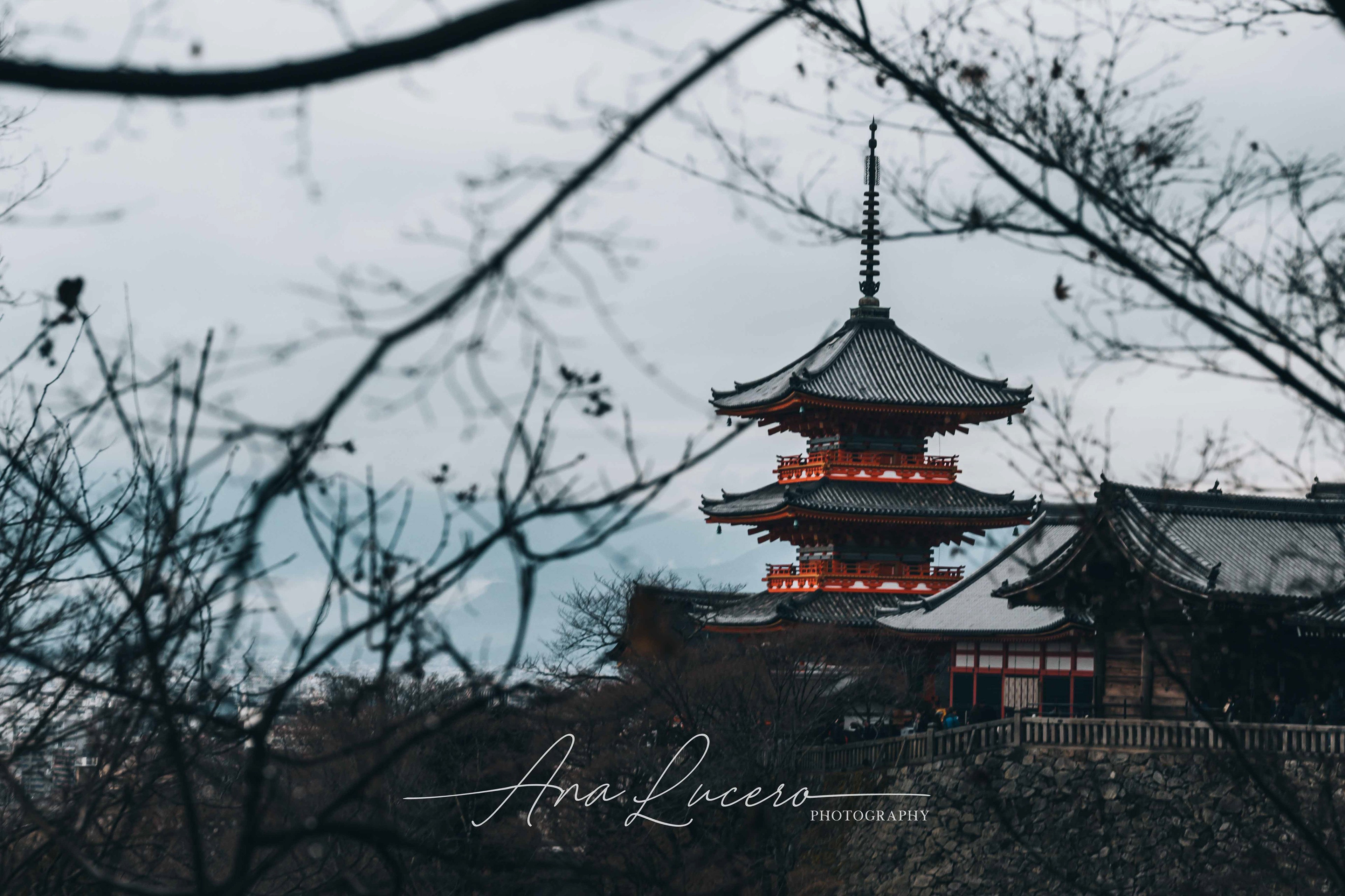 Kyoto, 2019