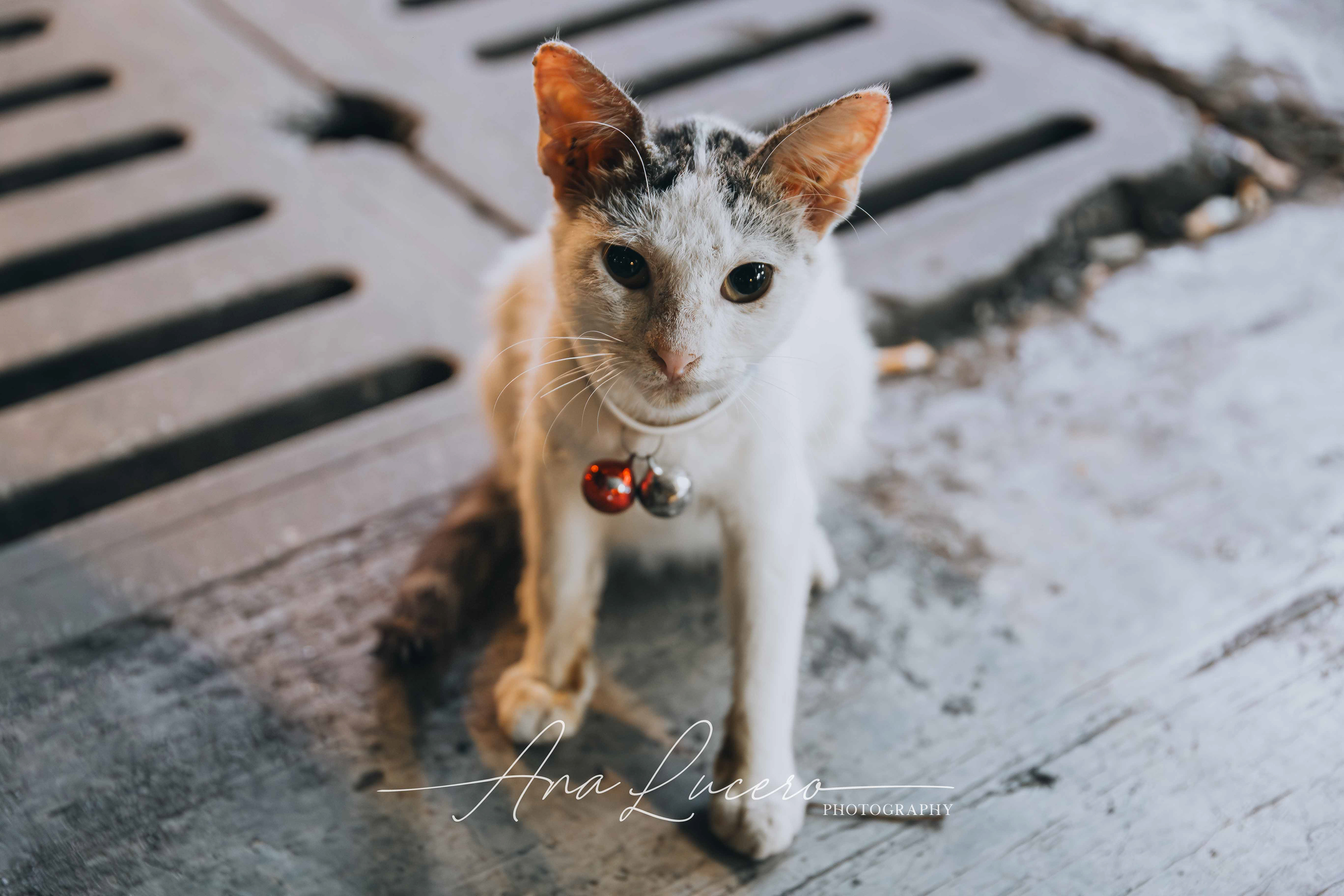 Kuala Lumpur, 2017