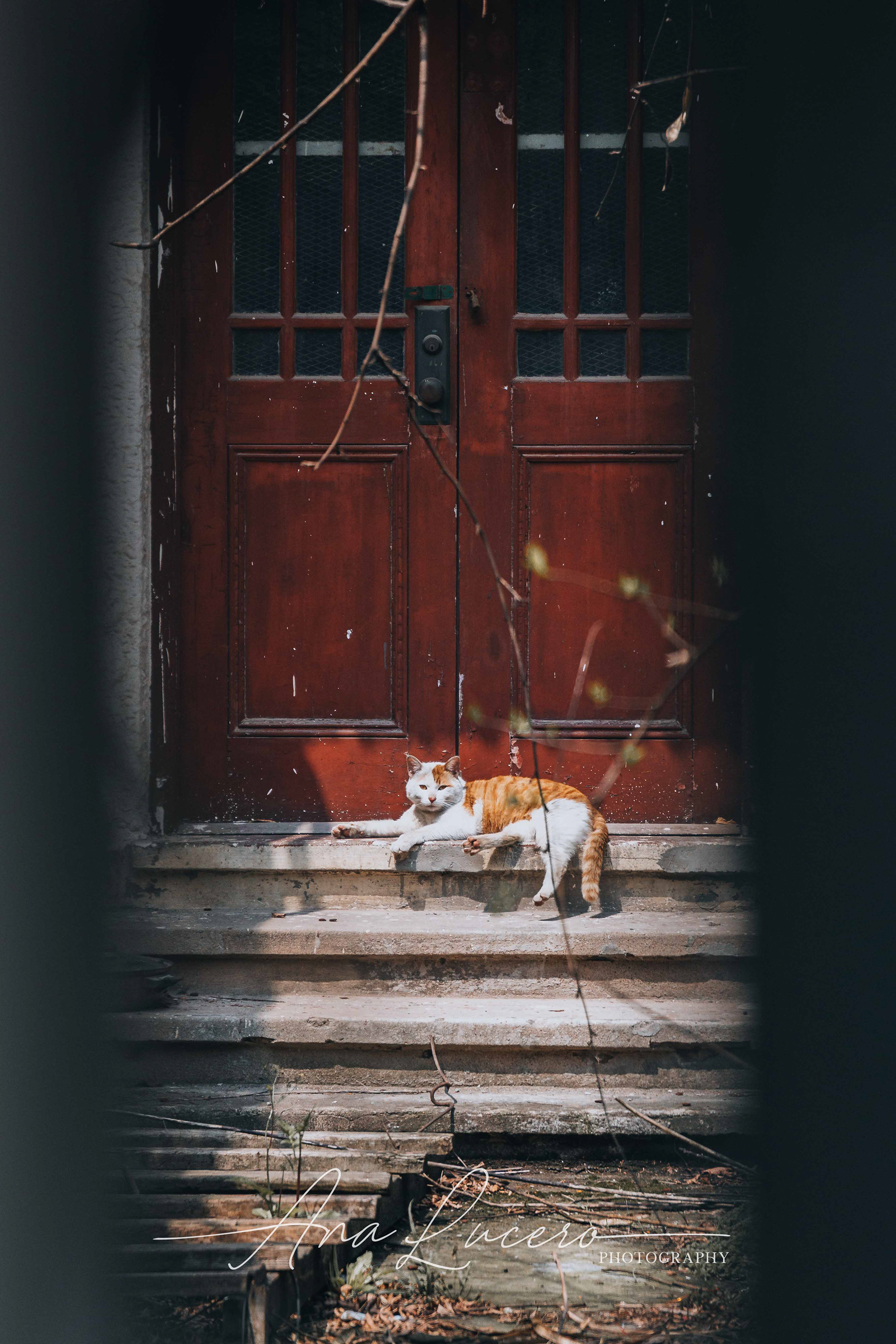 Shanghai, 2018