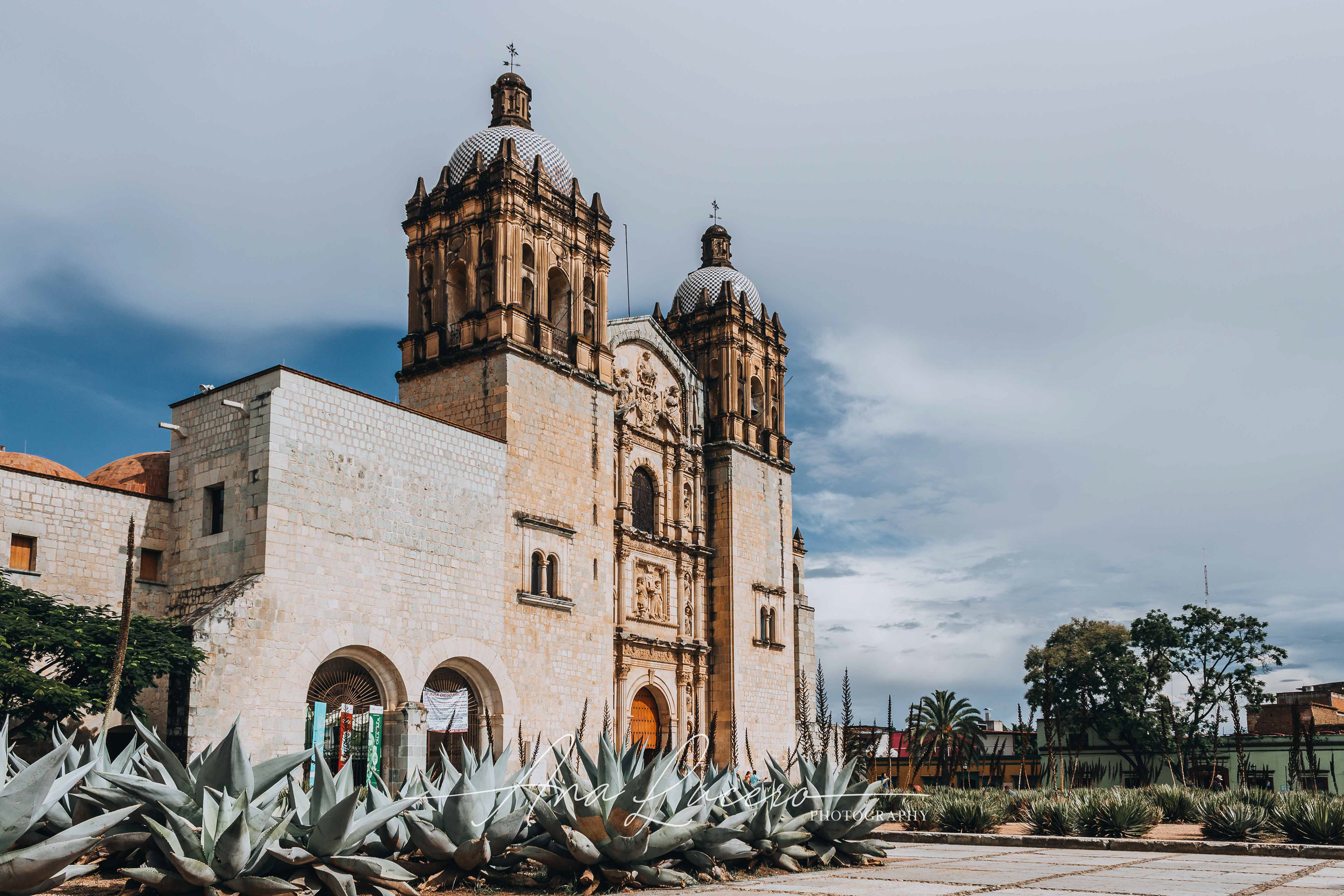 Oaxaca, 2019
