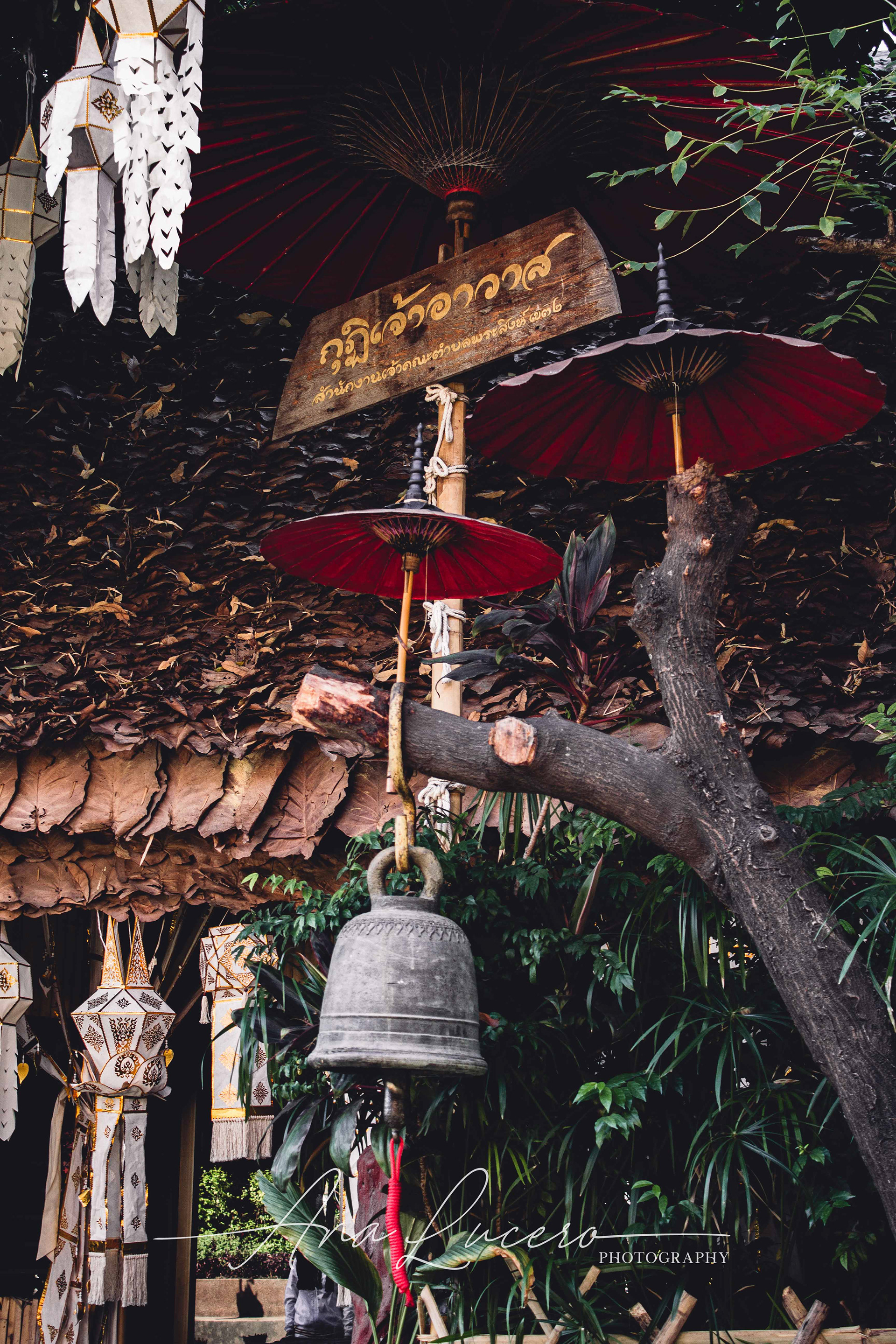 Chiang Mai, 2016