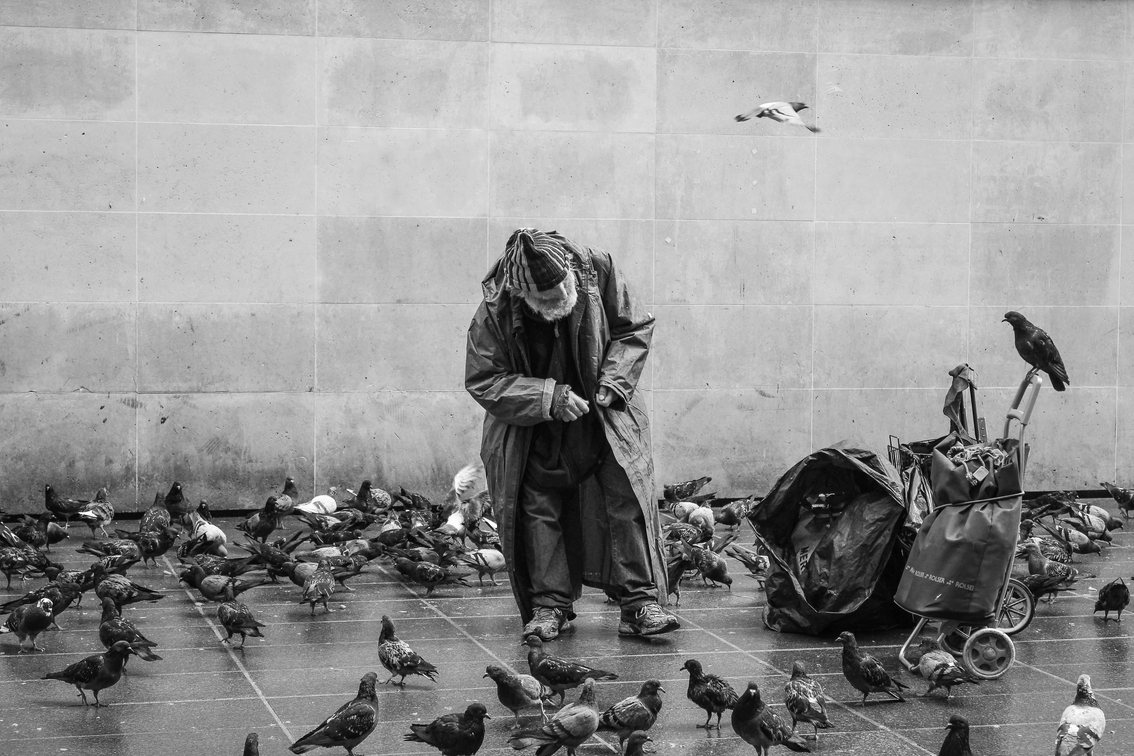 Paris, 2013