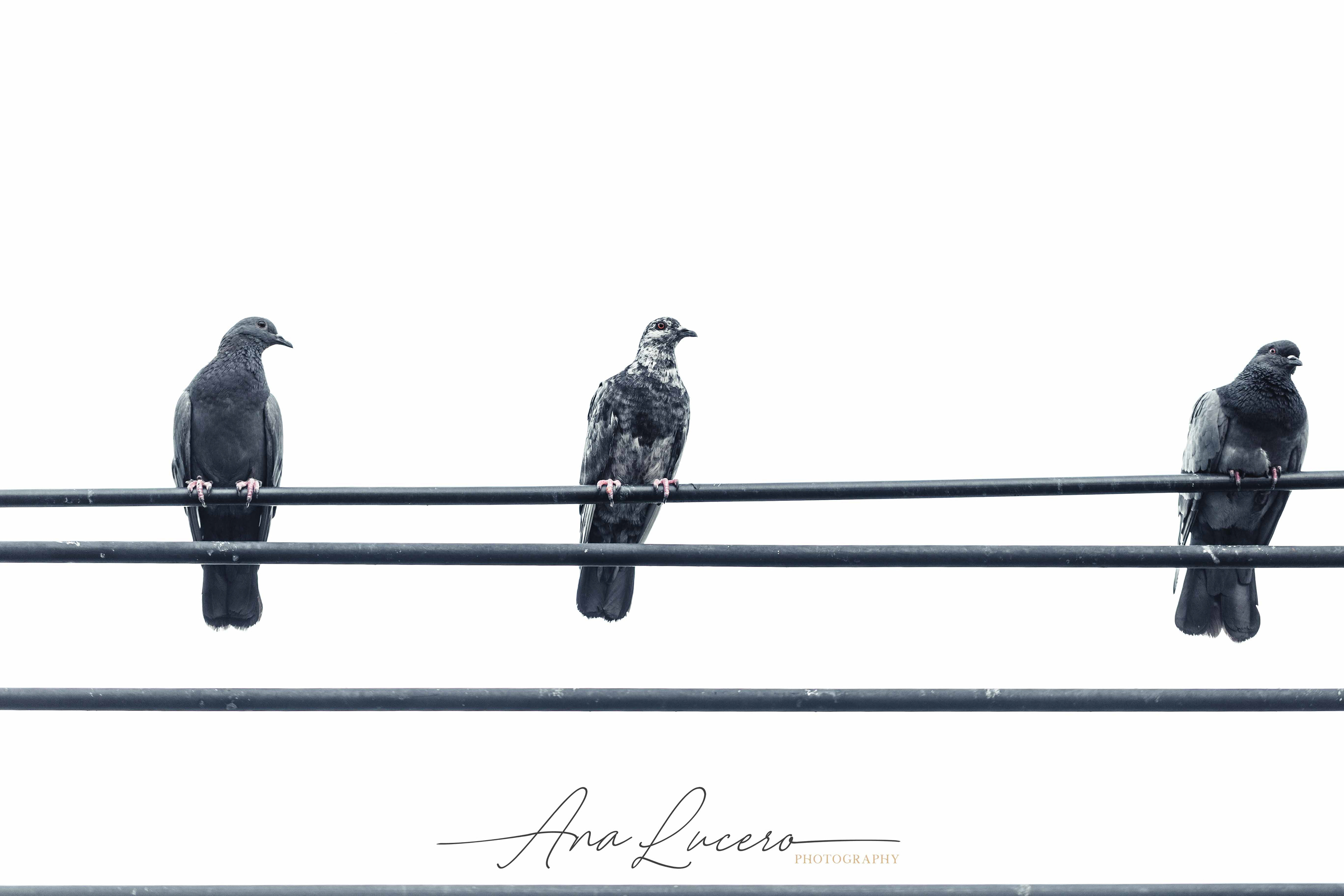 Bangkok, 2019