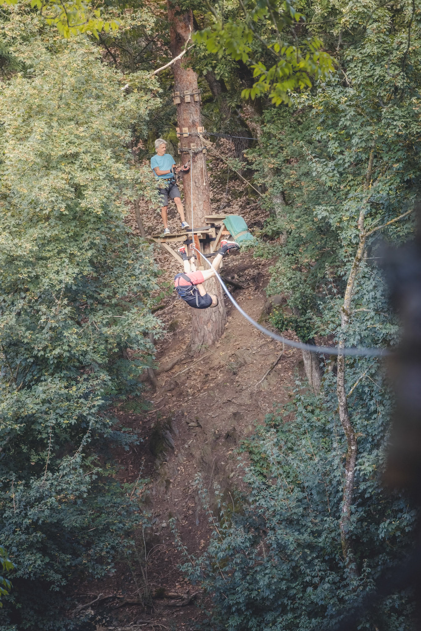 Accrobranche : un parcours suspendu entre les arbres, vu d'en haut.