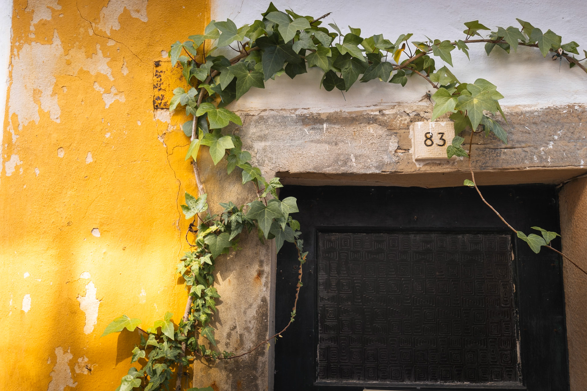 Une porte, une lumière, des couleurs — un instant portugais parmi tant d'autres.